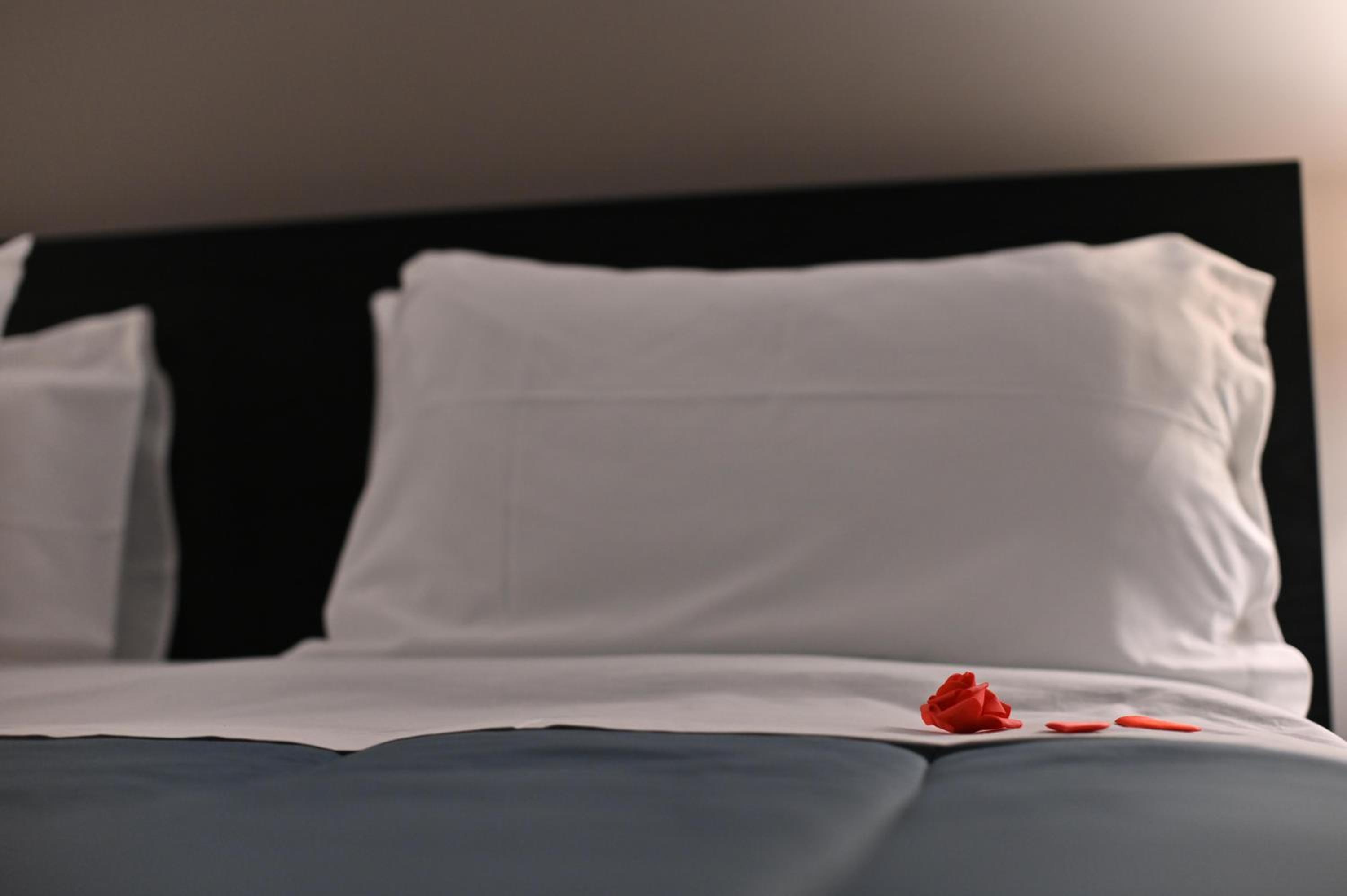 Deluxe Room - Photo 2