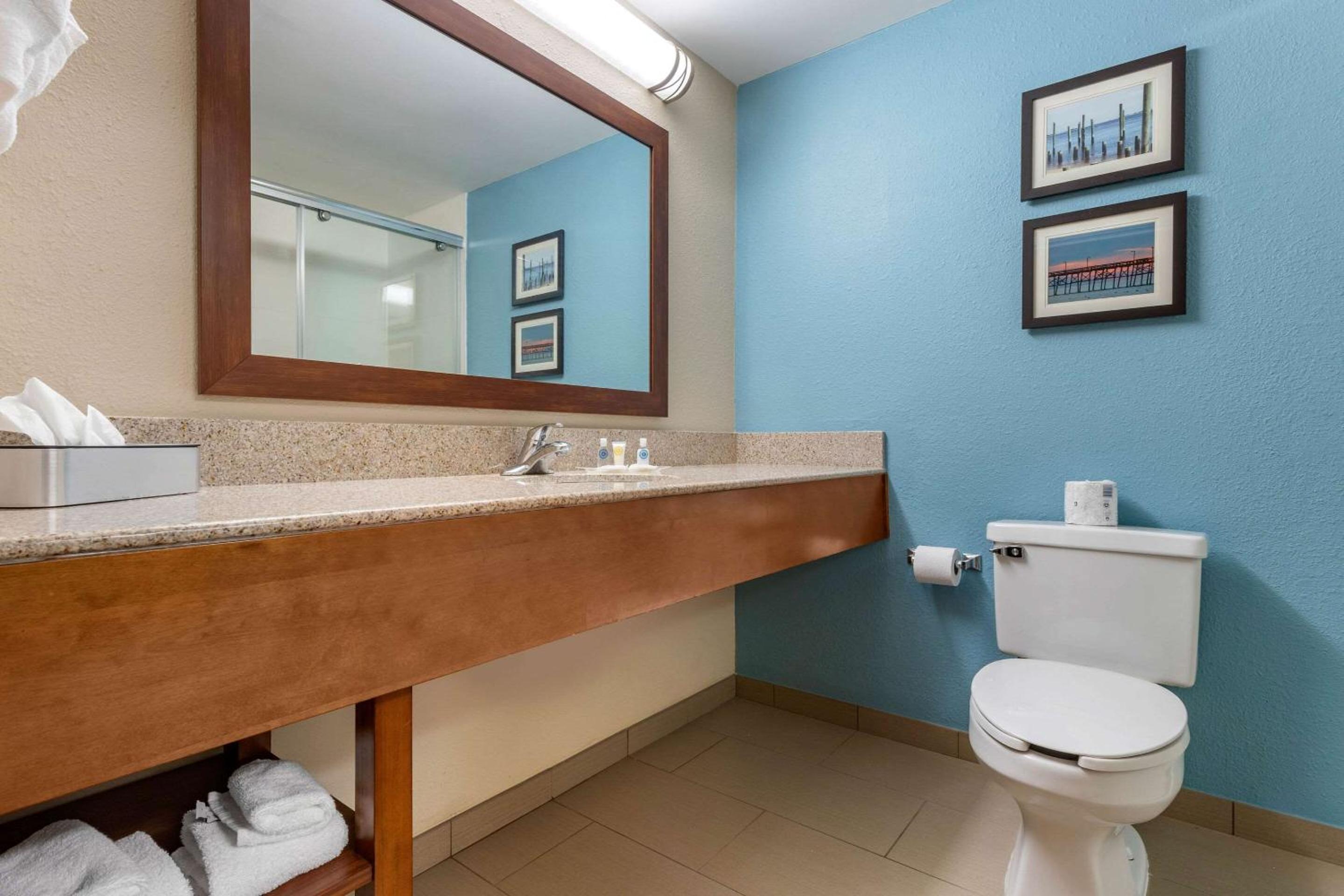King Suite - Non-Smoking - Photo 11