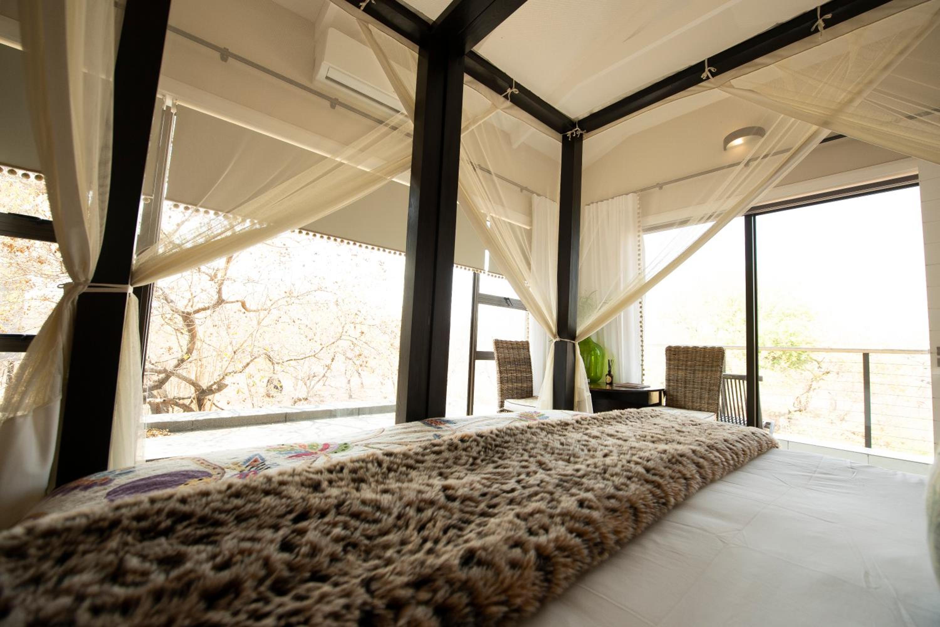 Standard Suite