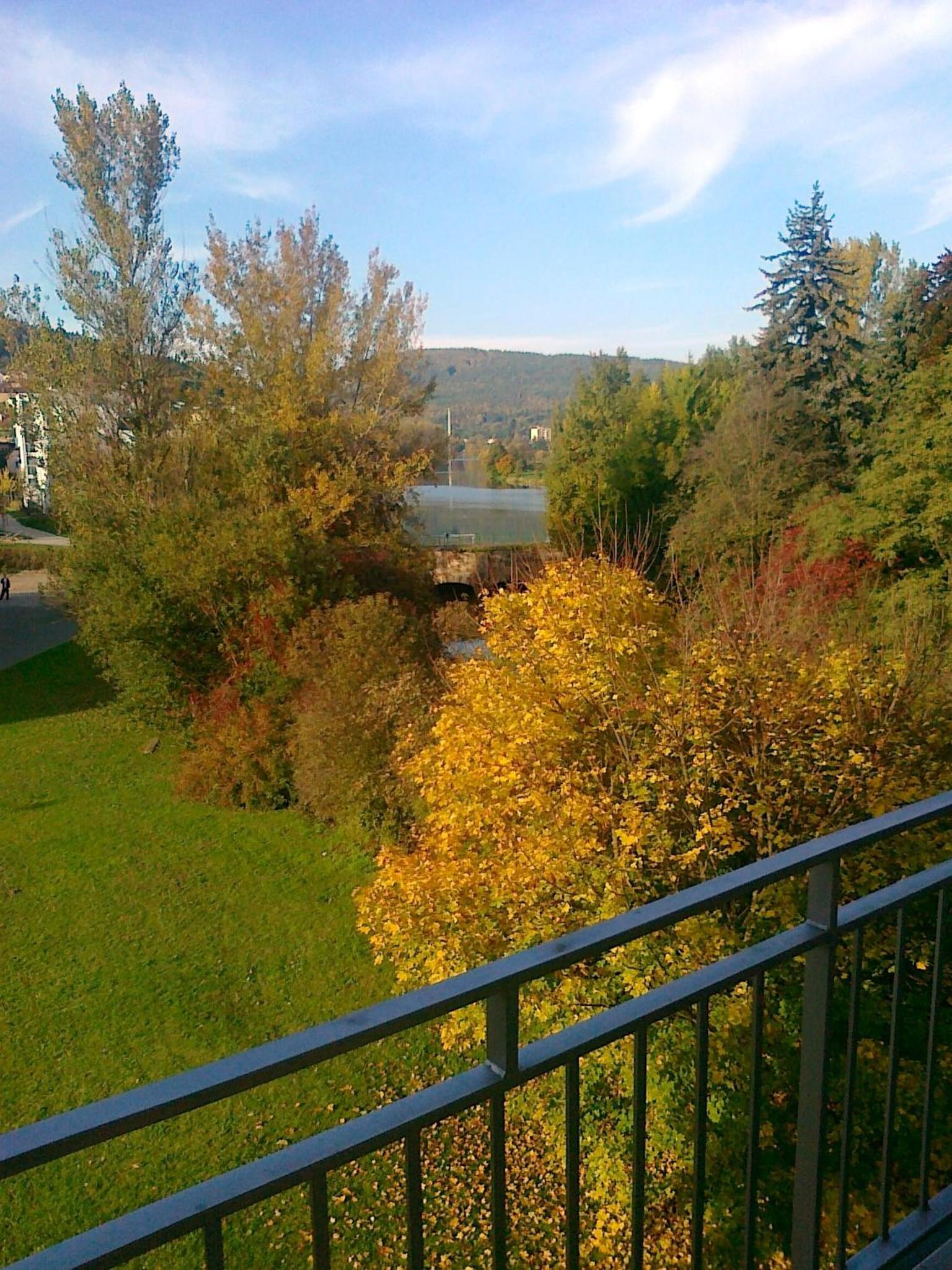 Comfort Double Room with Bath and Park View - Photo 11