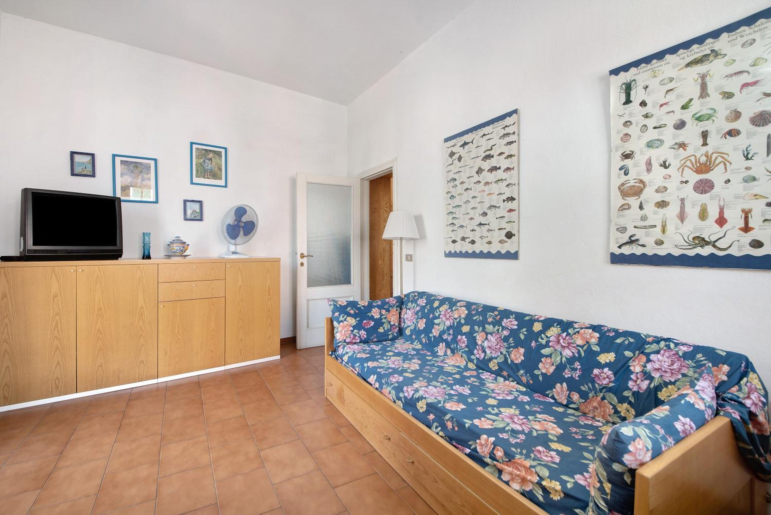 Apartment with Terrace photo 3