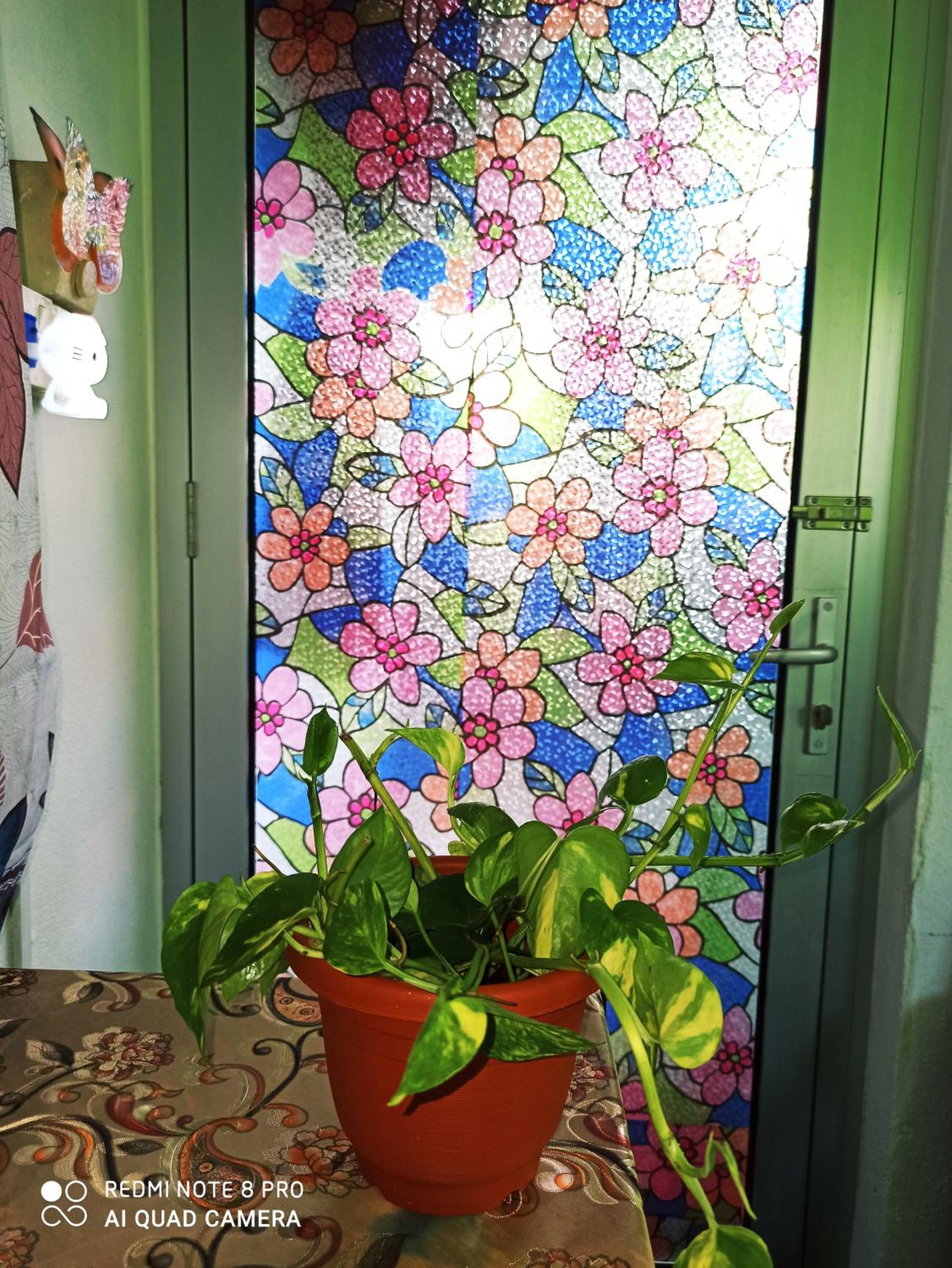 Family Room with Garden View photo 1