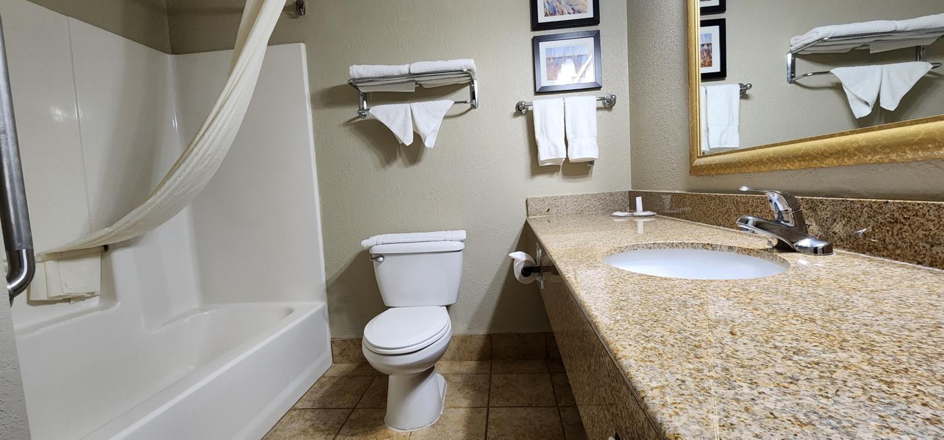 Queen Room with Roll-In Shower - Accessible/Non Smoking - Photo 3