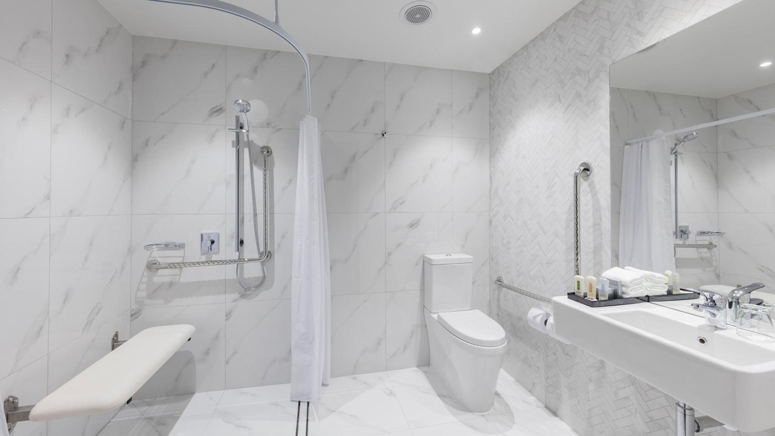 1 King Accessible Low Floor