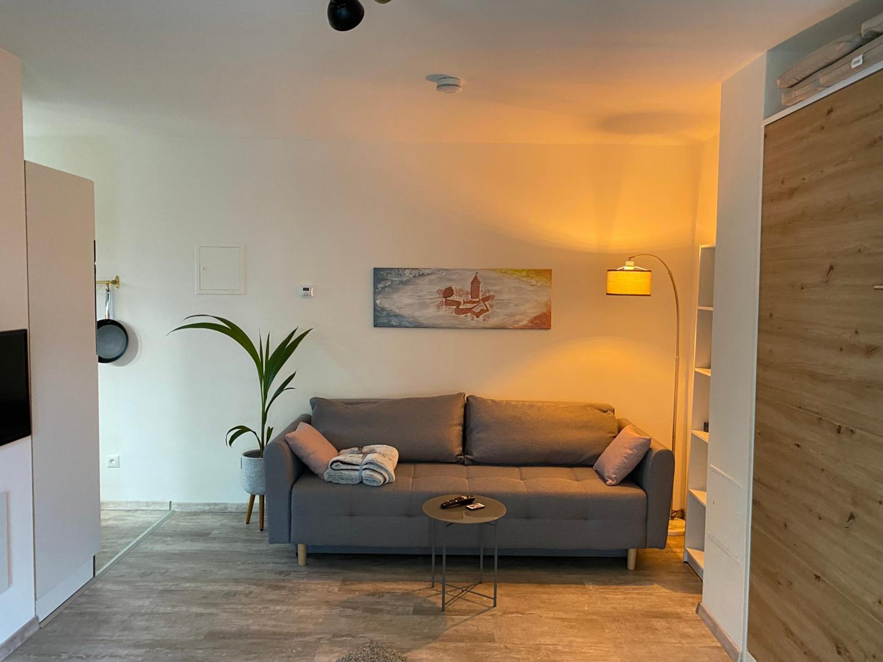One-Bedroom Apartment photo 2