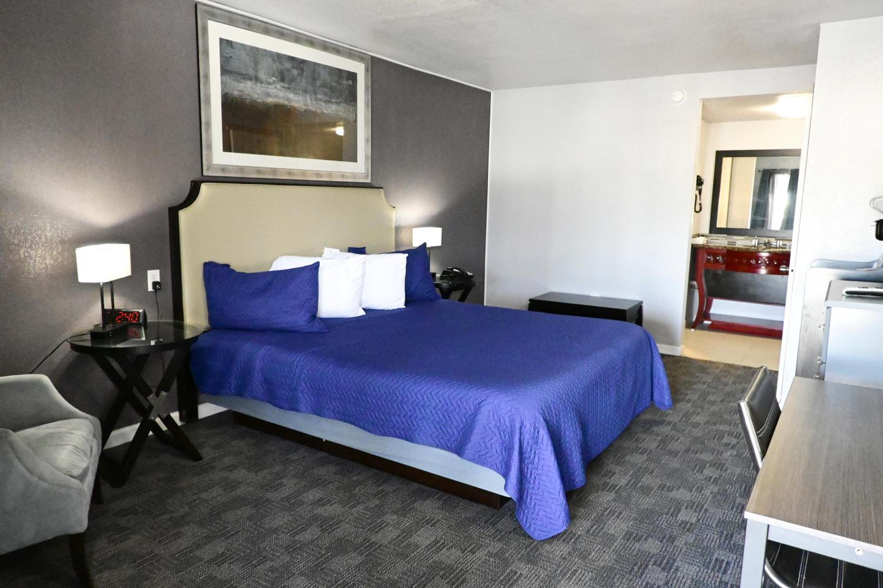 Premium King Suite - Photo 4