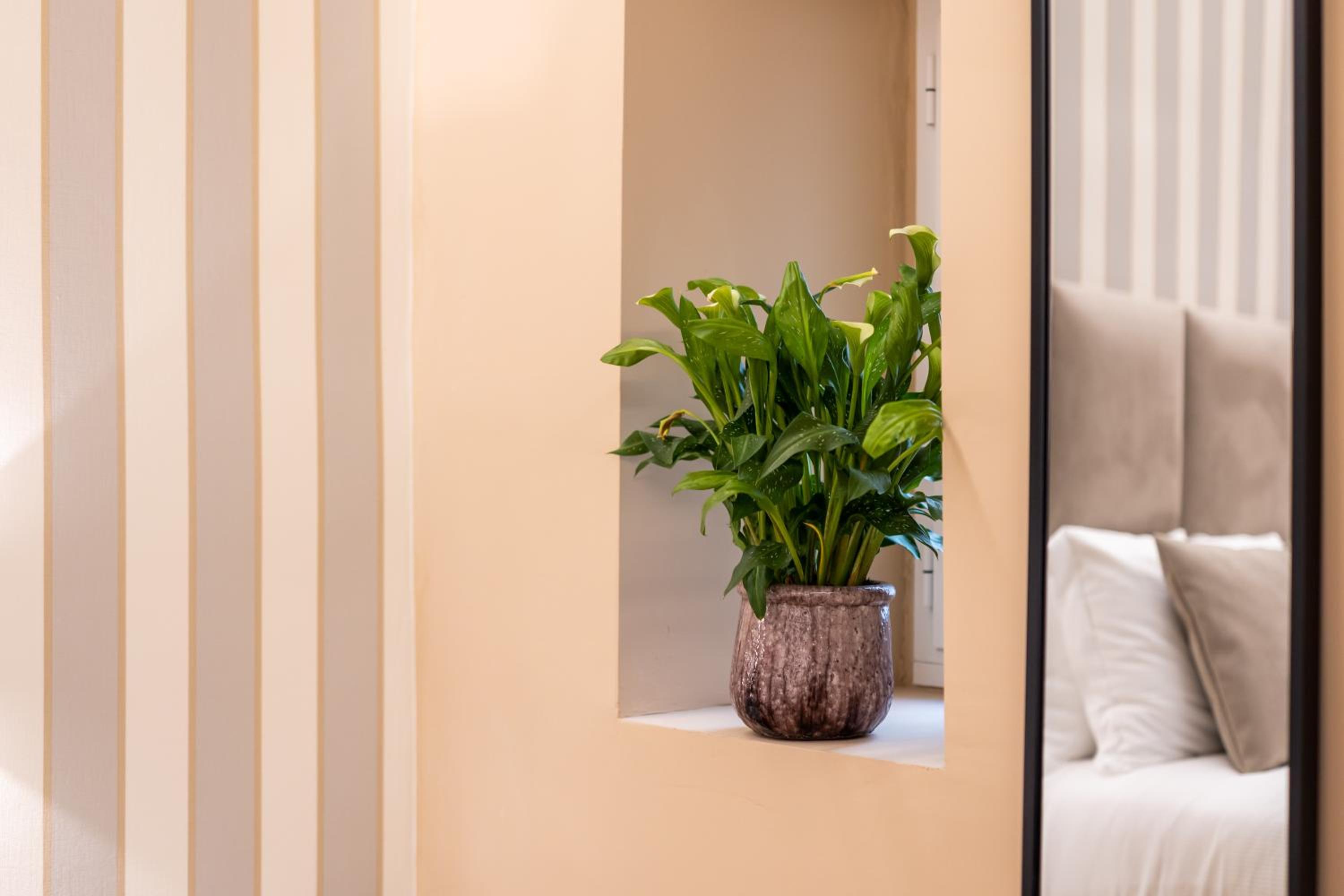 Superior Triple Room photo 3