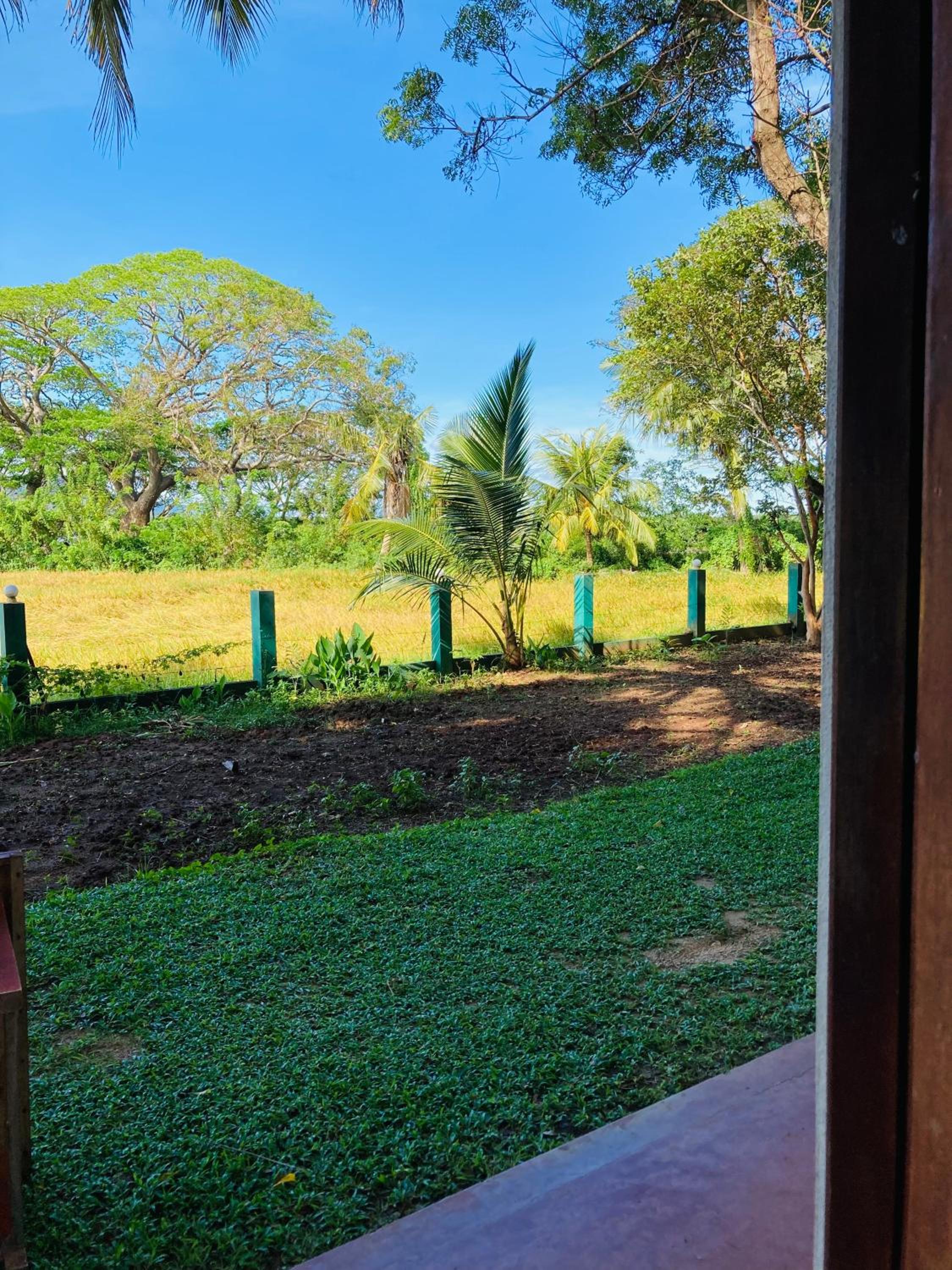 Triple Room With Garden View photo 3