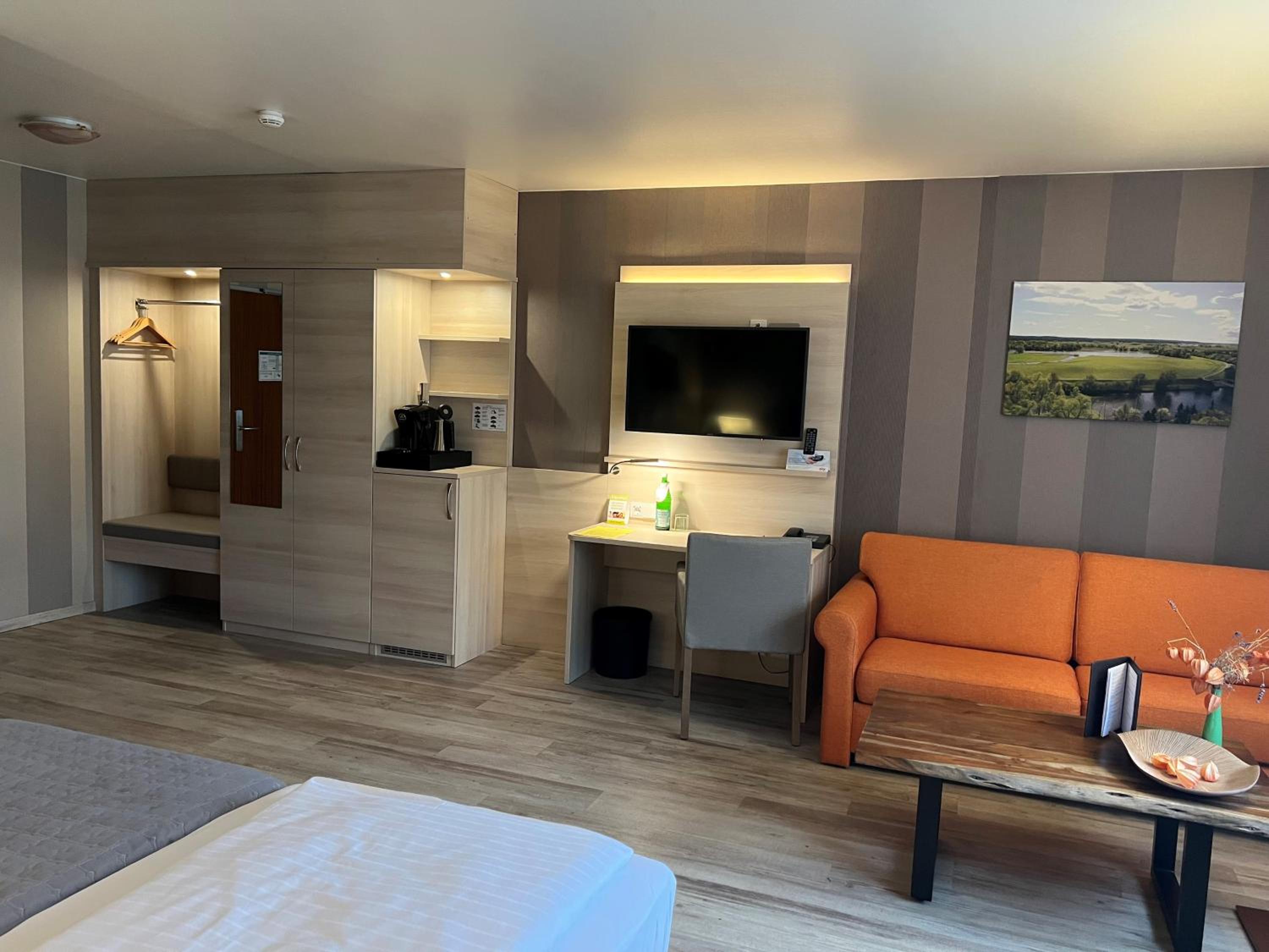 Deluxe Double or Twin Room photo 1
