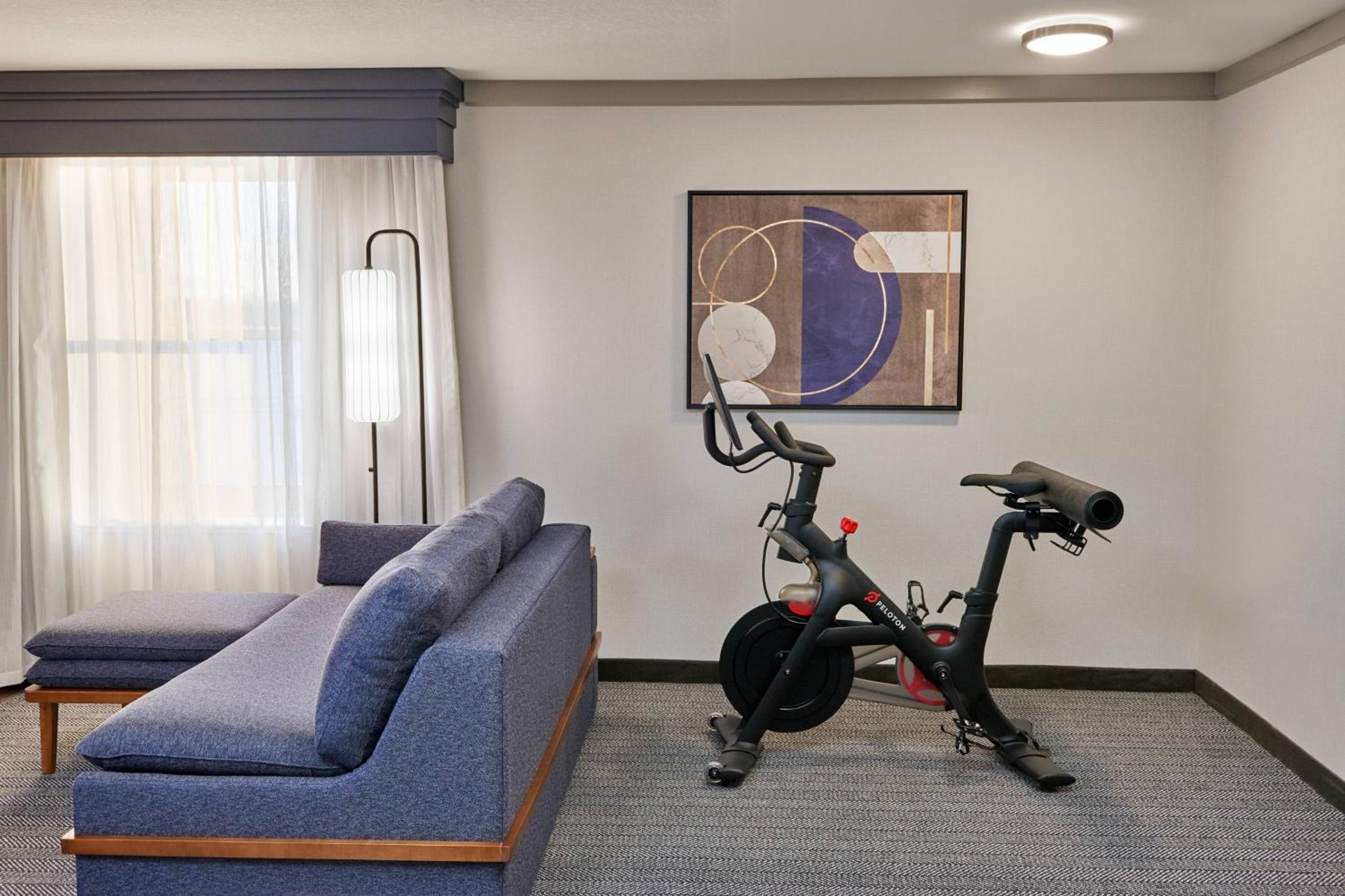 King Room with Exercise Equipment, Sofa Bed and Fireplace