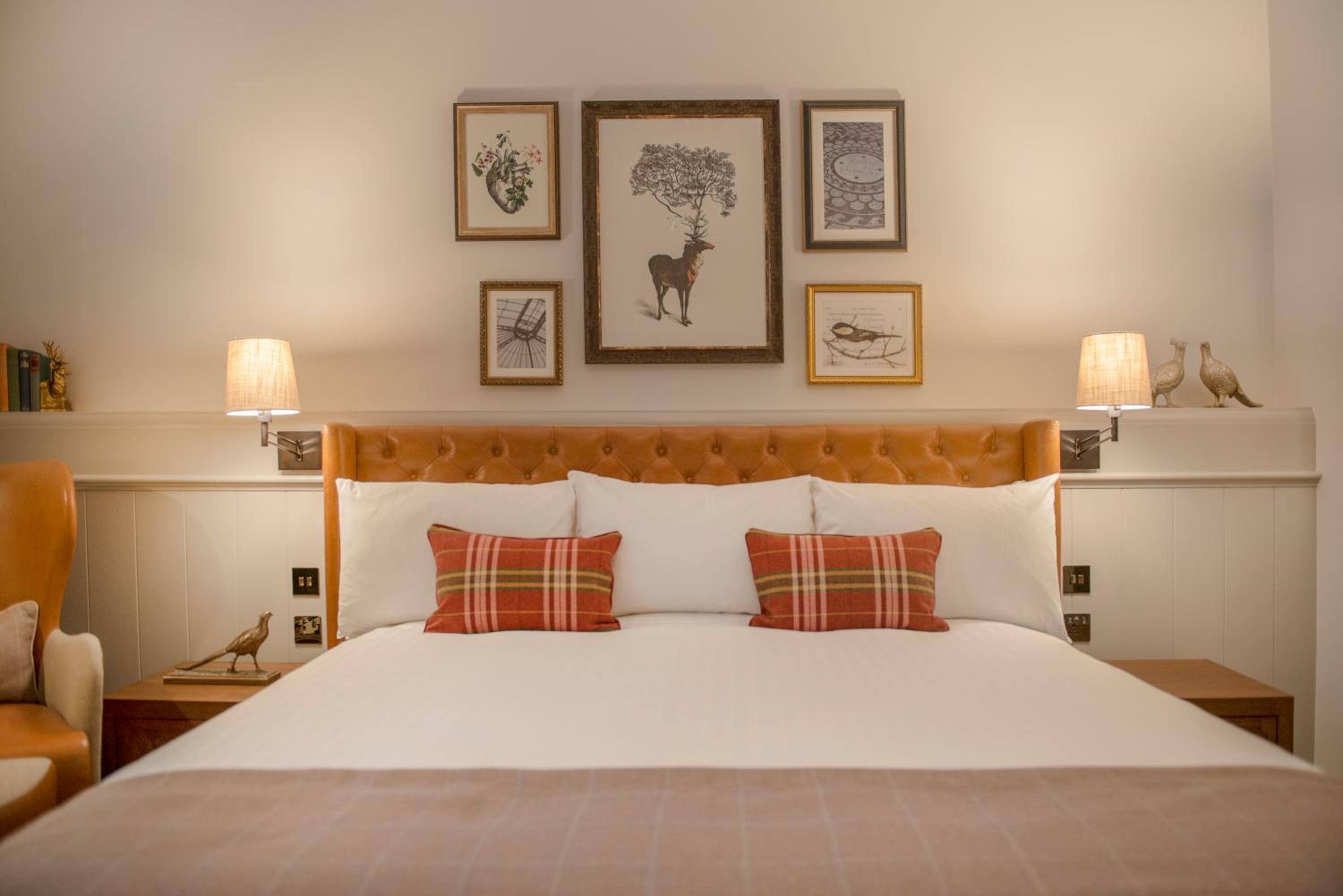 Deluxe Double Room photo 1