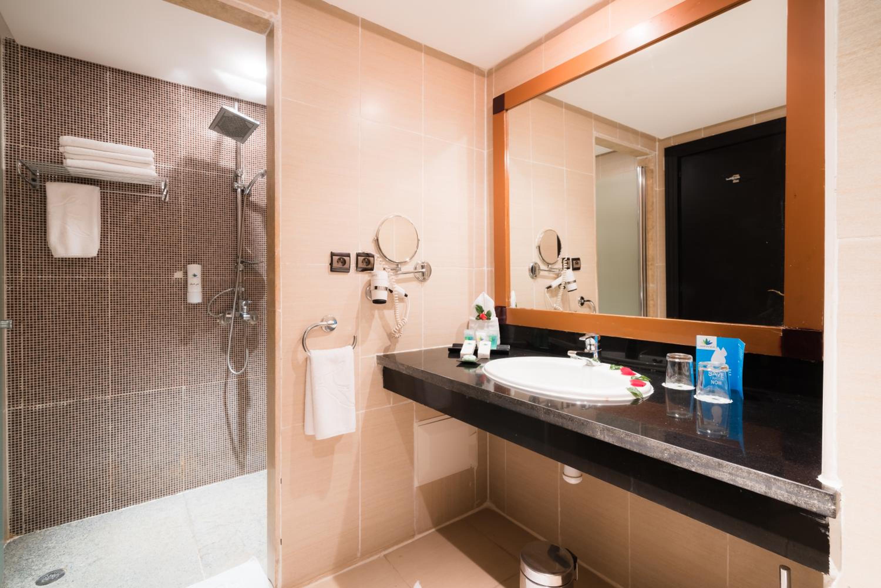 Deluxe with One Twin Bed and 2 Adults Occupancy (Non Smoking)