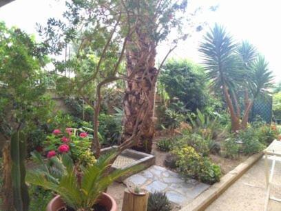 Double Room with Garden View photo 2