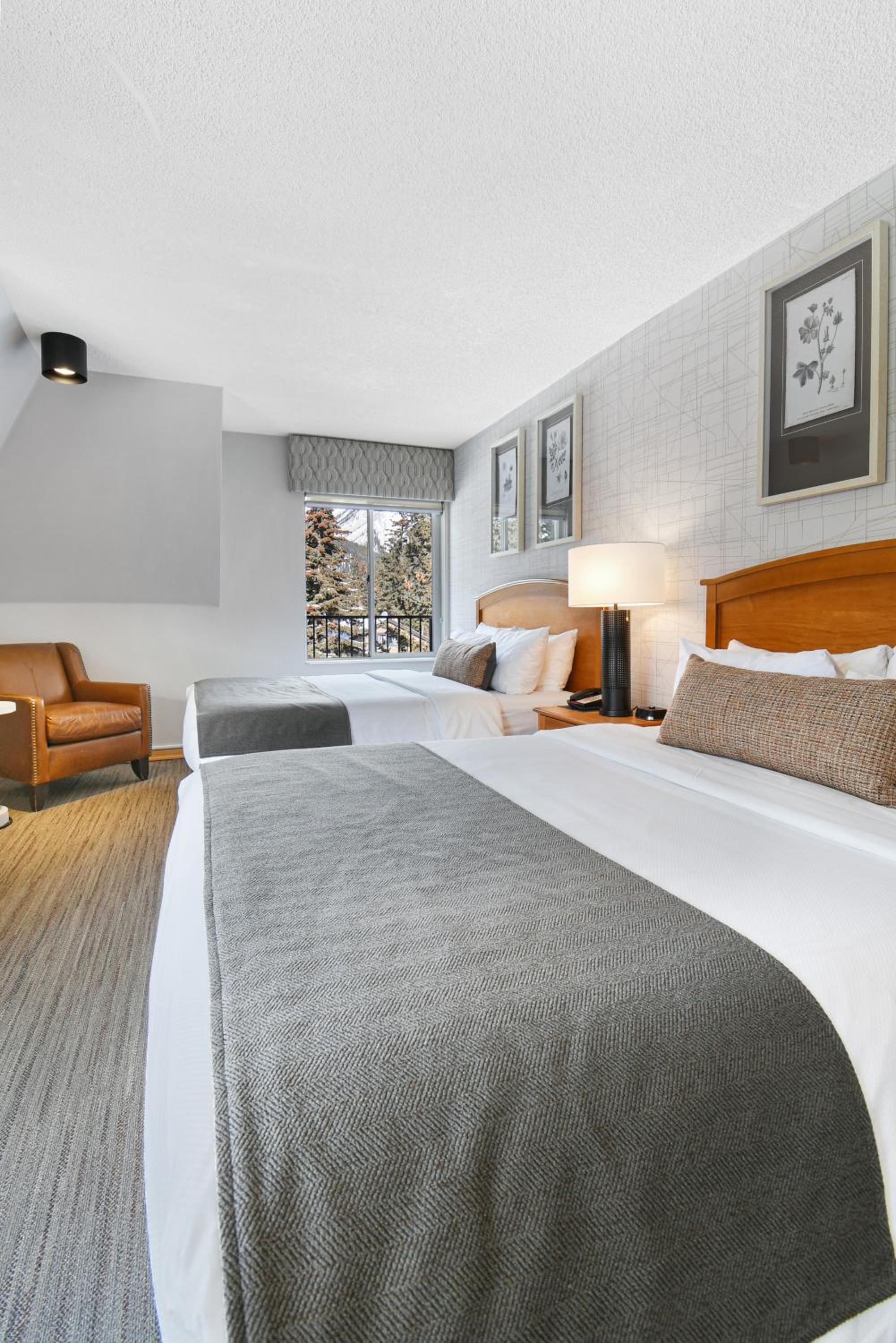 Superior Queen Room