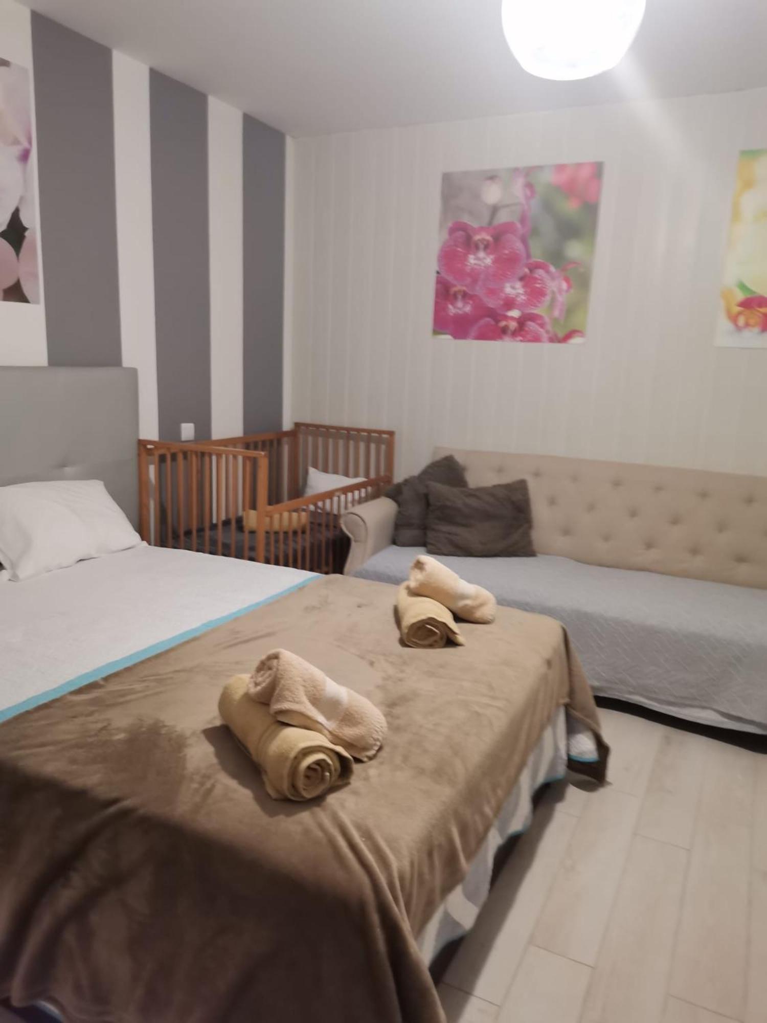 Studio Apartment - Photo 2