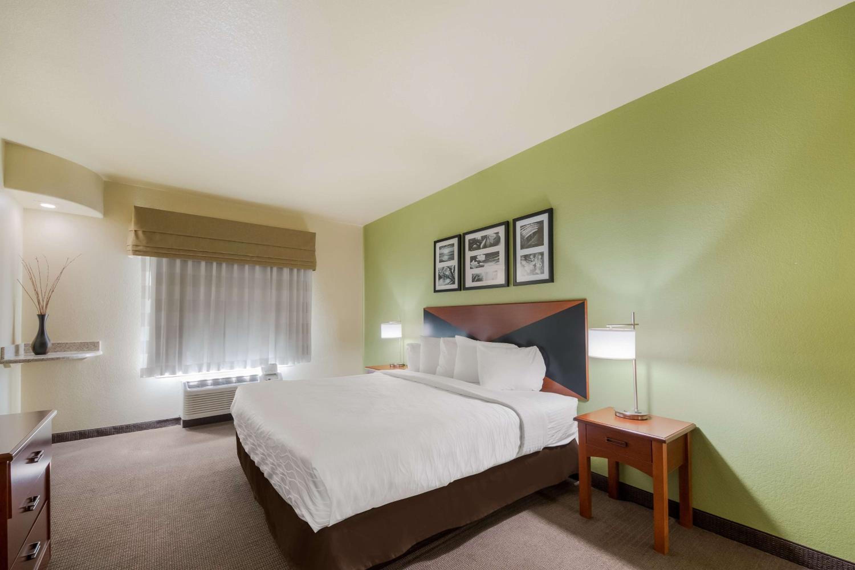 King Suite with Roll - In Shower - Disability Access - Photo 1