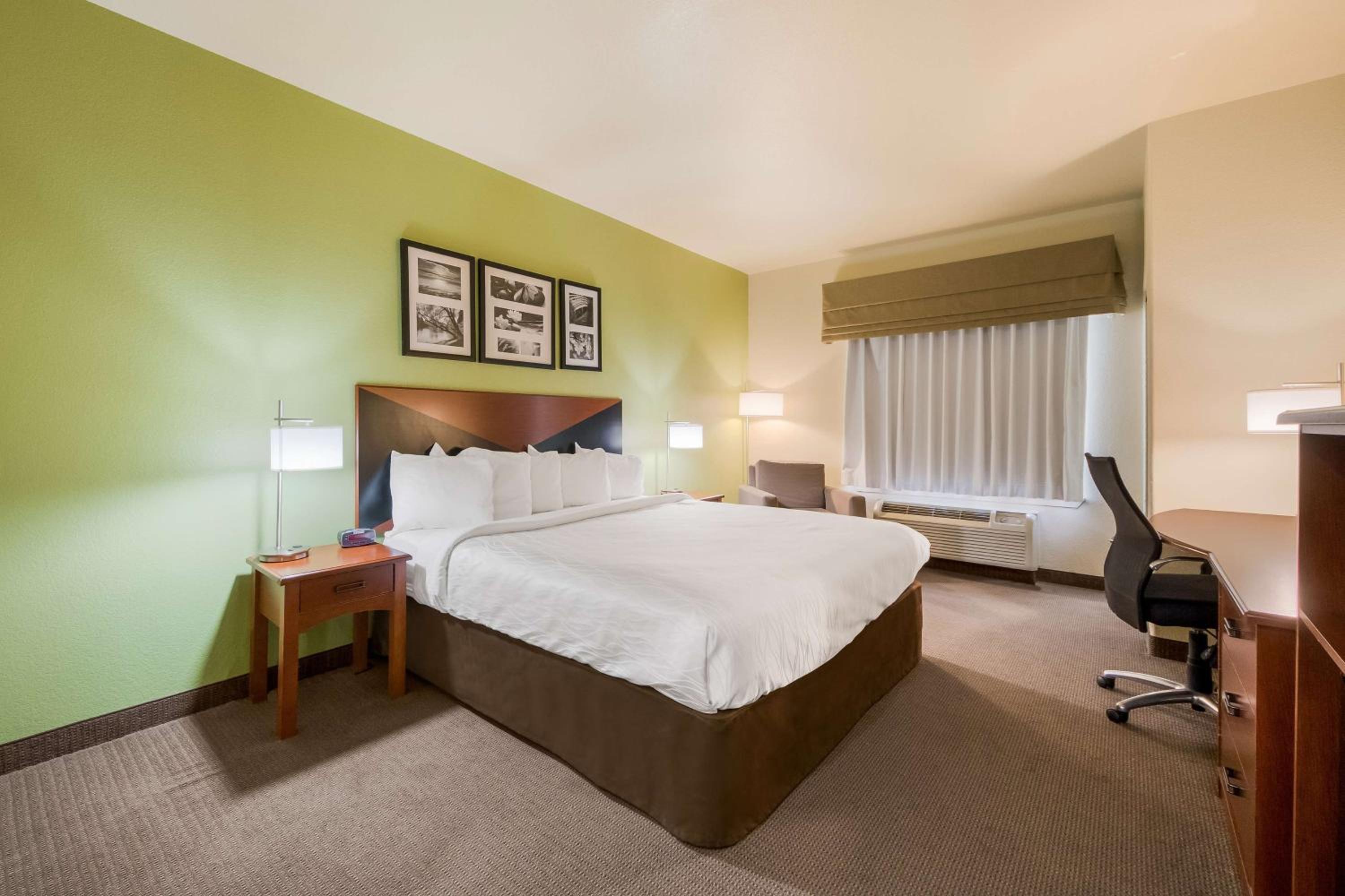 King Room - Non-Smoking - Photo 1