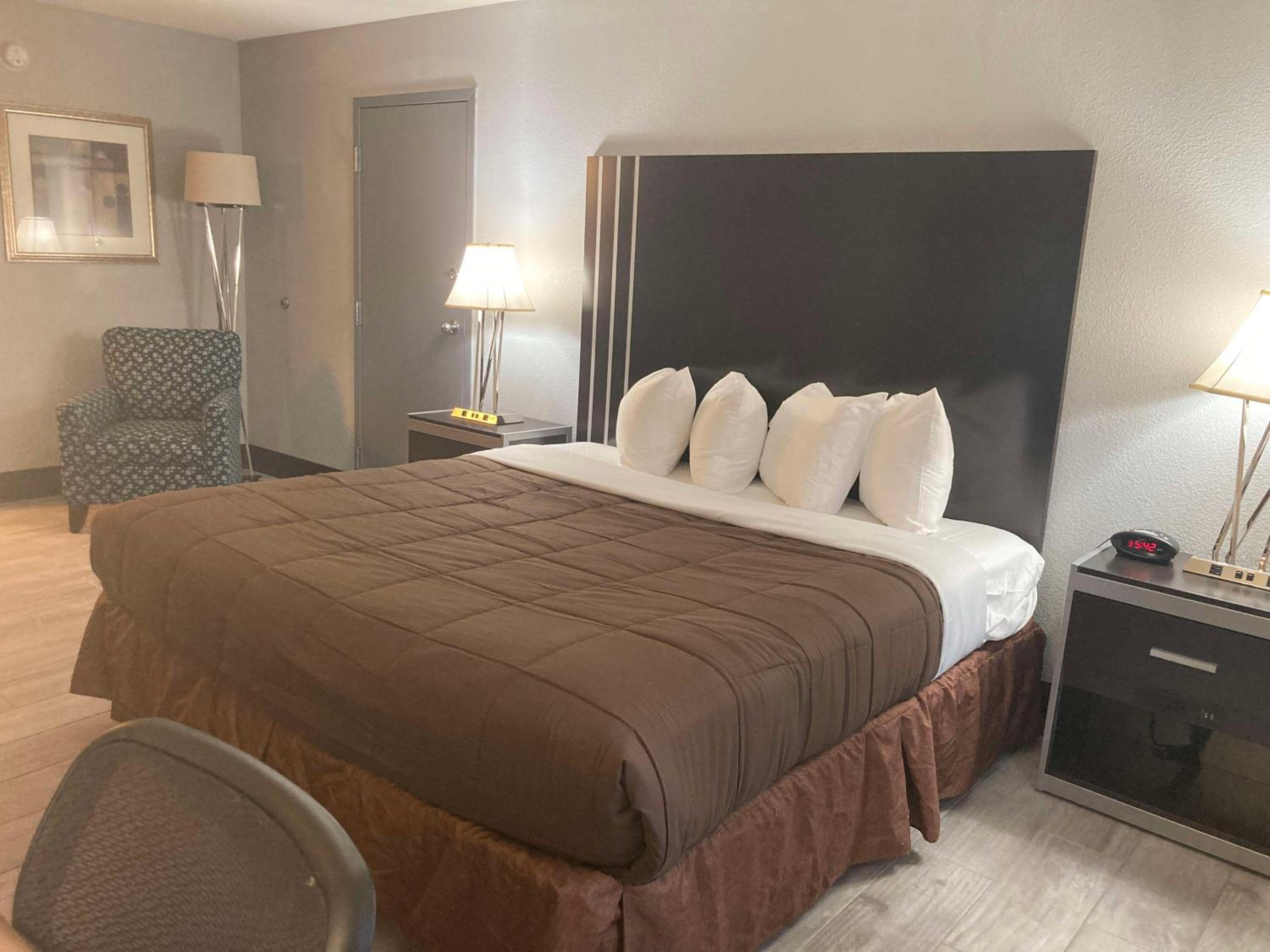 King Room - Pet Friendly - Photo 3
