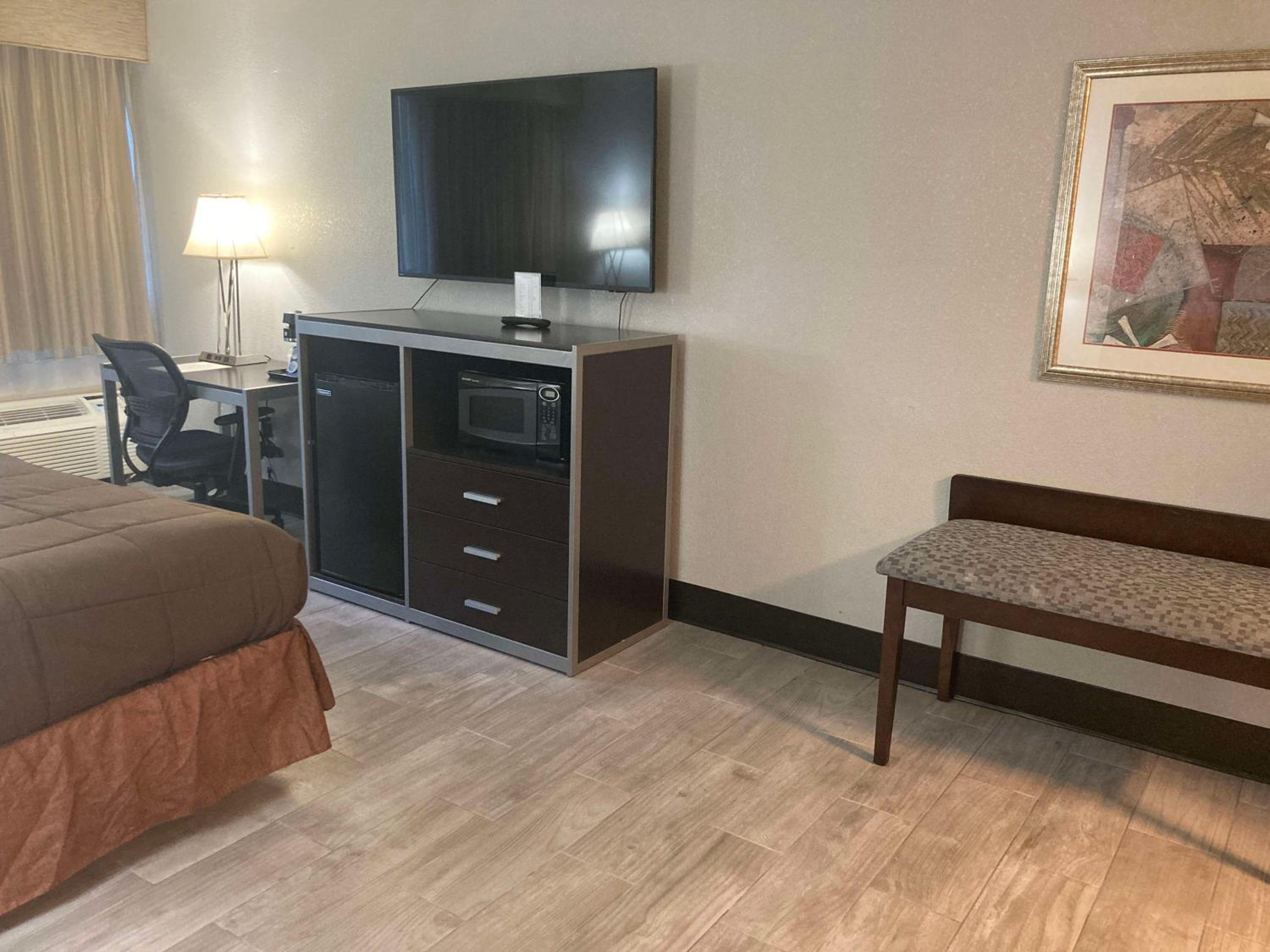 King Room - Pet Friendly - Photo 4