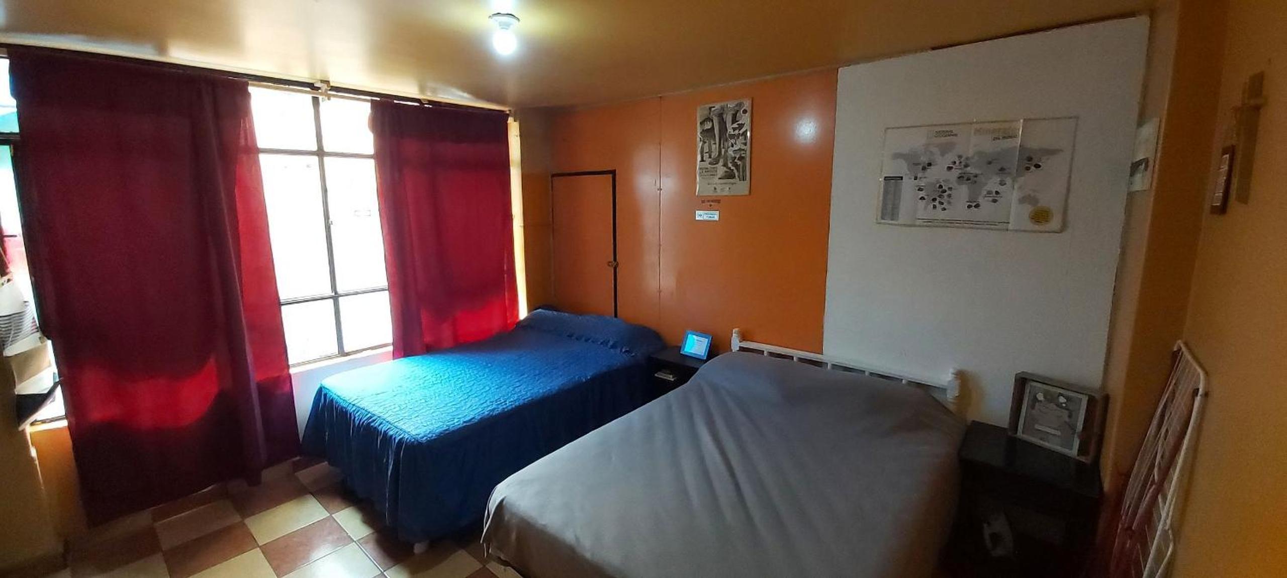 Twin Room - Photo 21