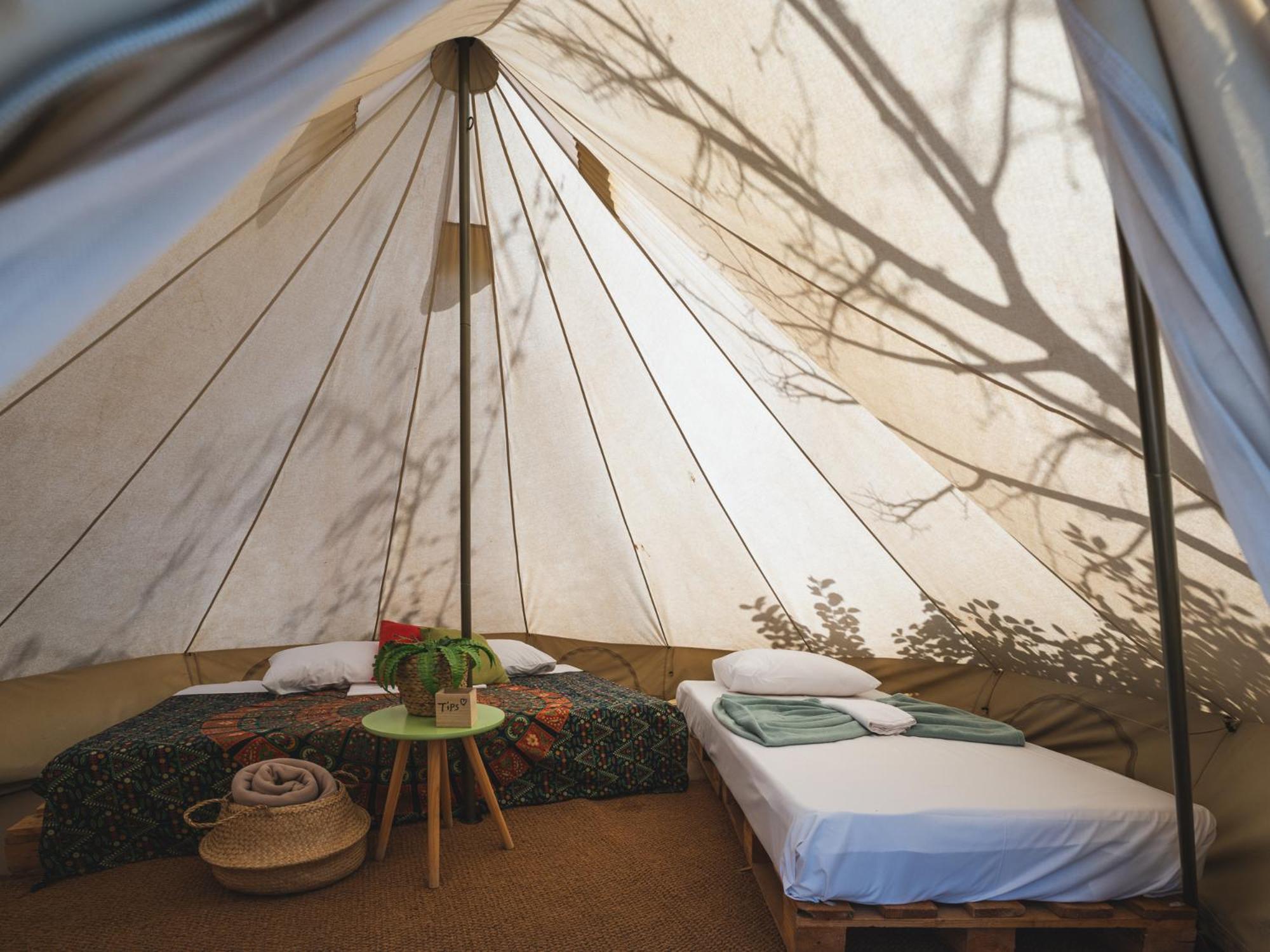 Large Tent - Photo 3