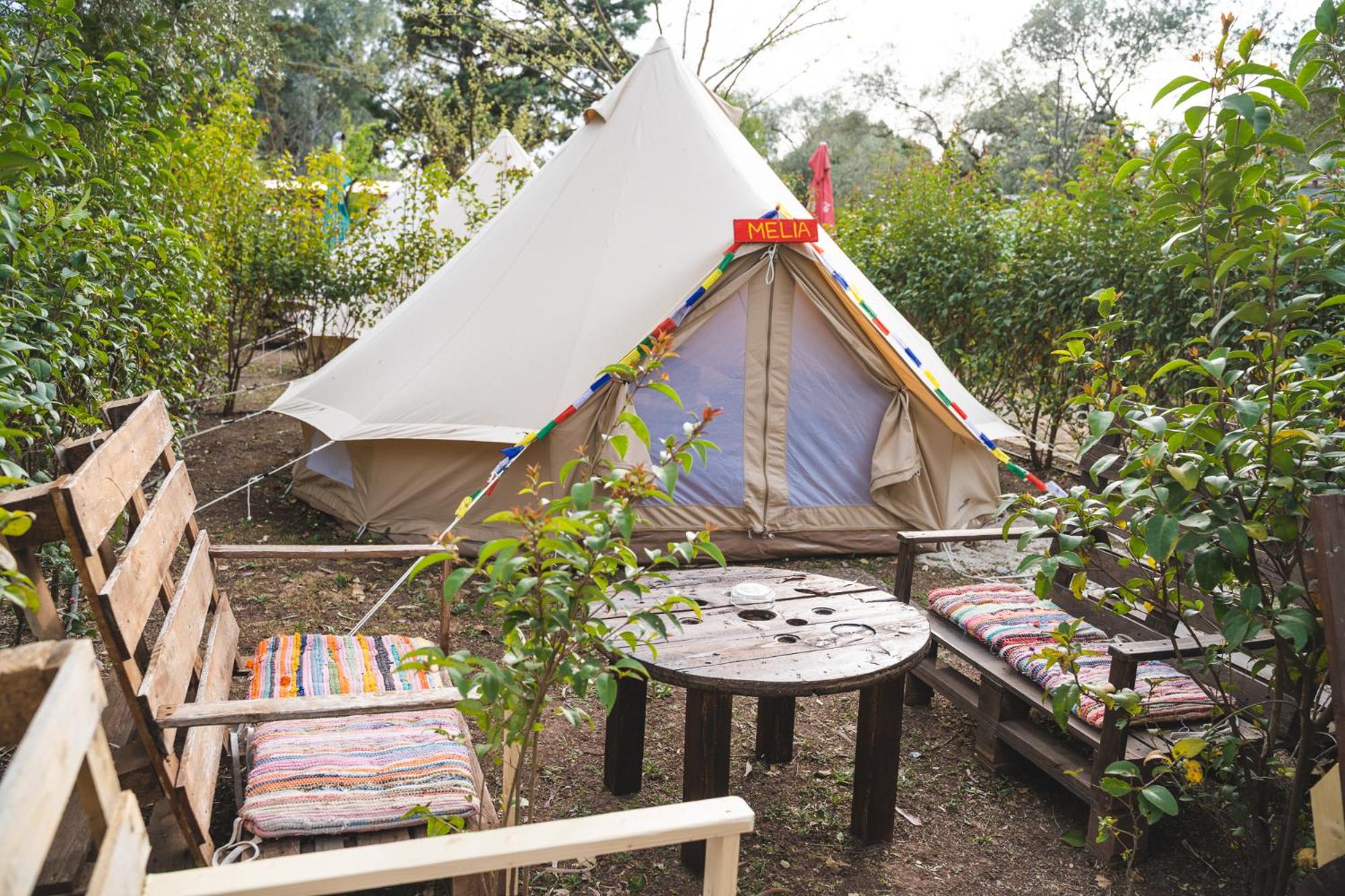 Large Tent - Photo 2
