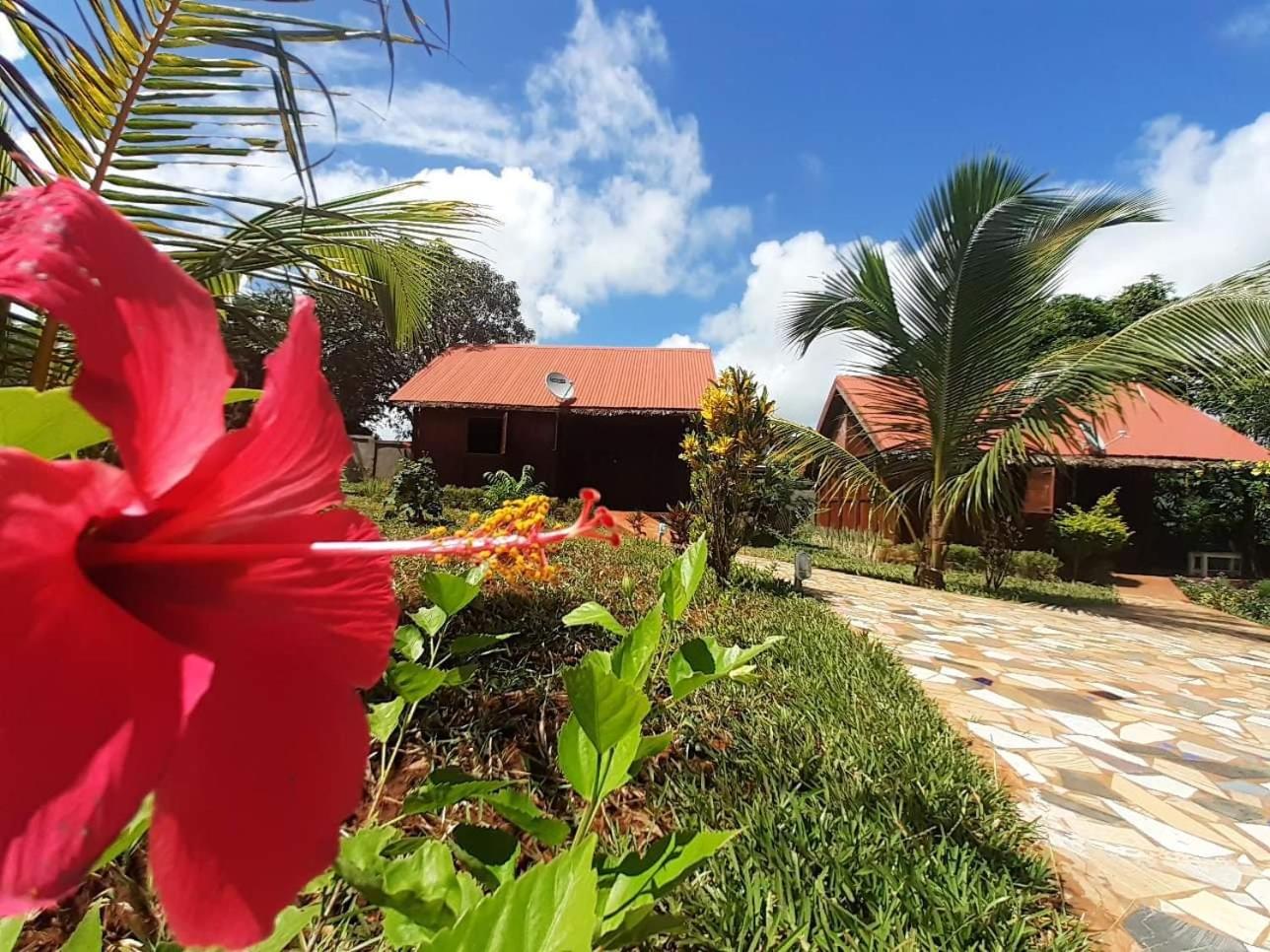 Bungalow with Garden View photo 1