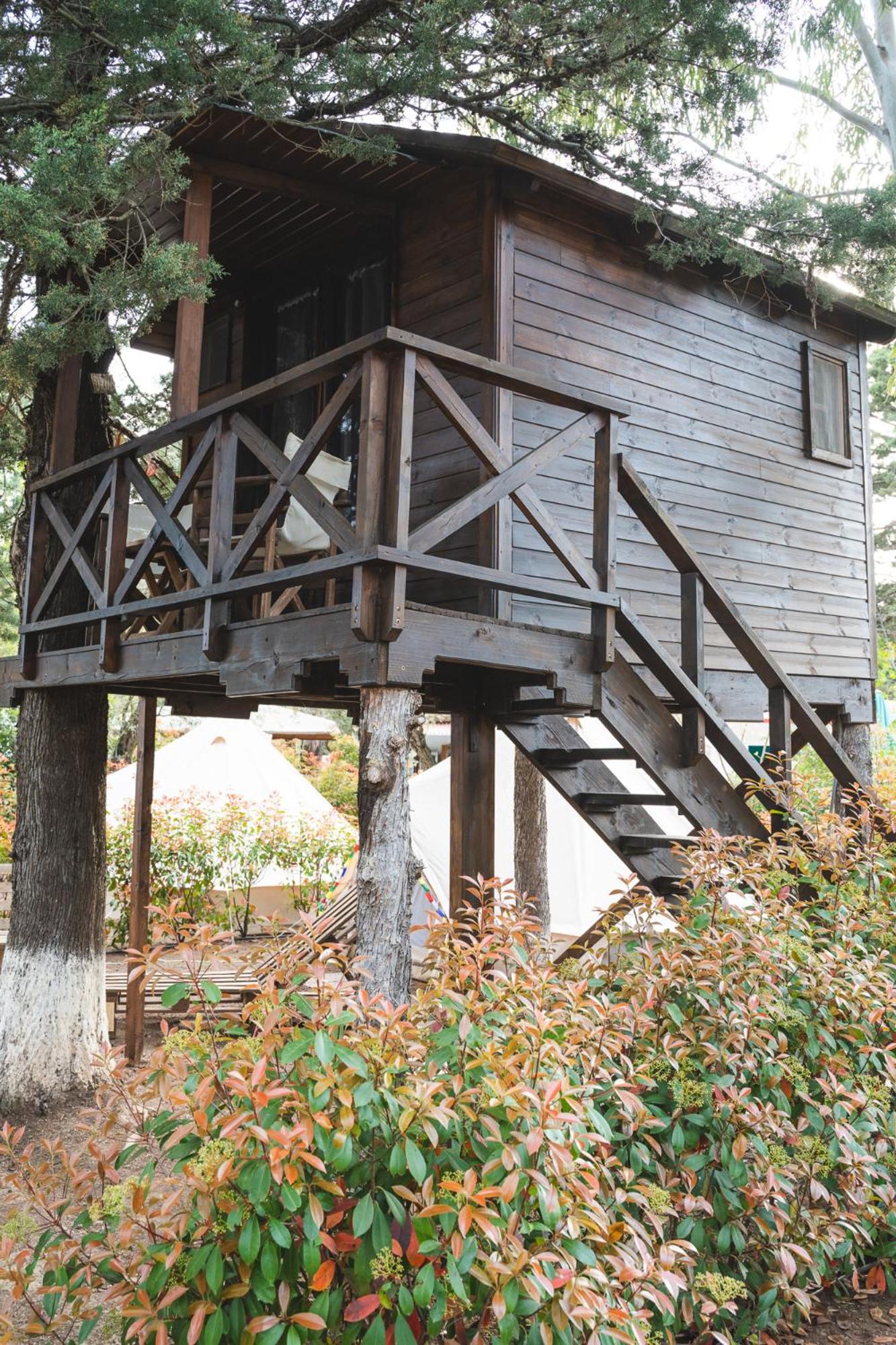 Tree House - Photo 3