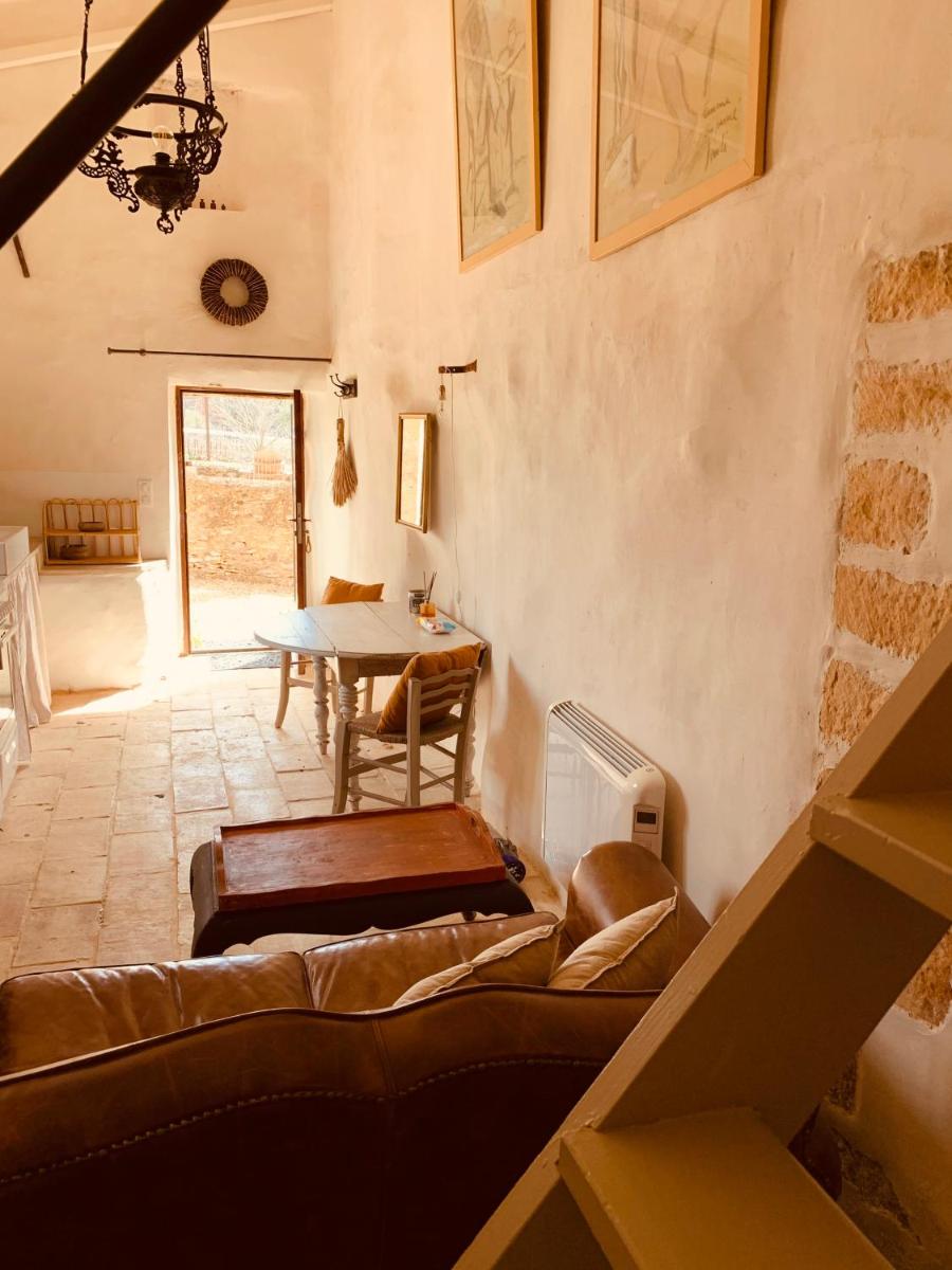 Studio with Garden View
