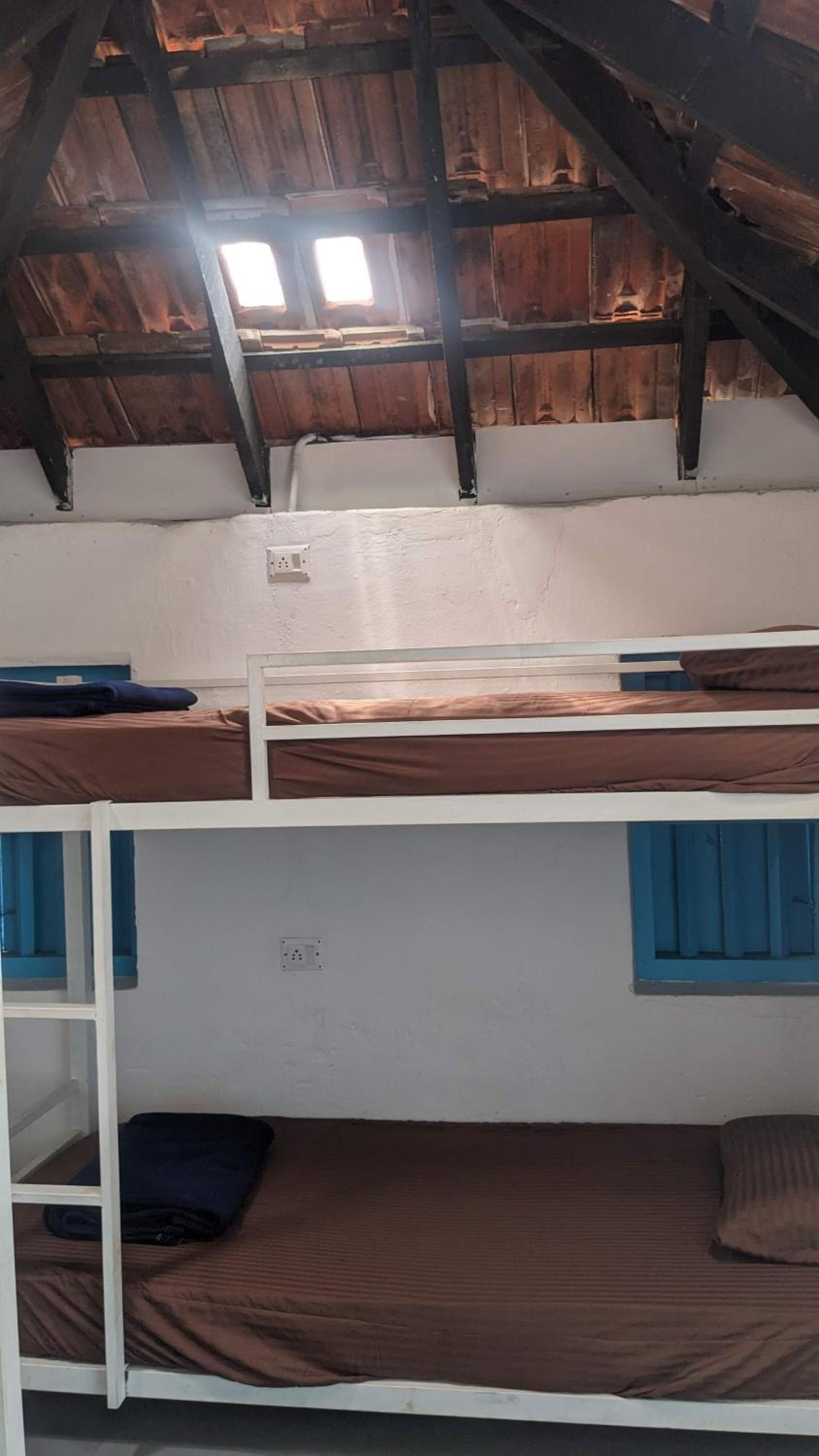4-Bed Mixed Dormitory Room photo 1