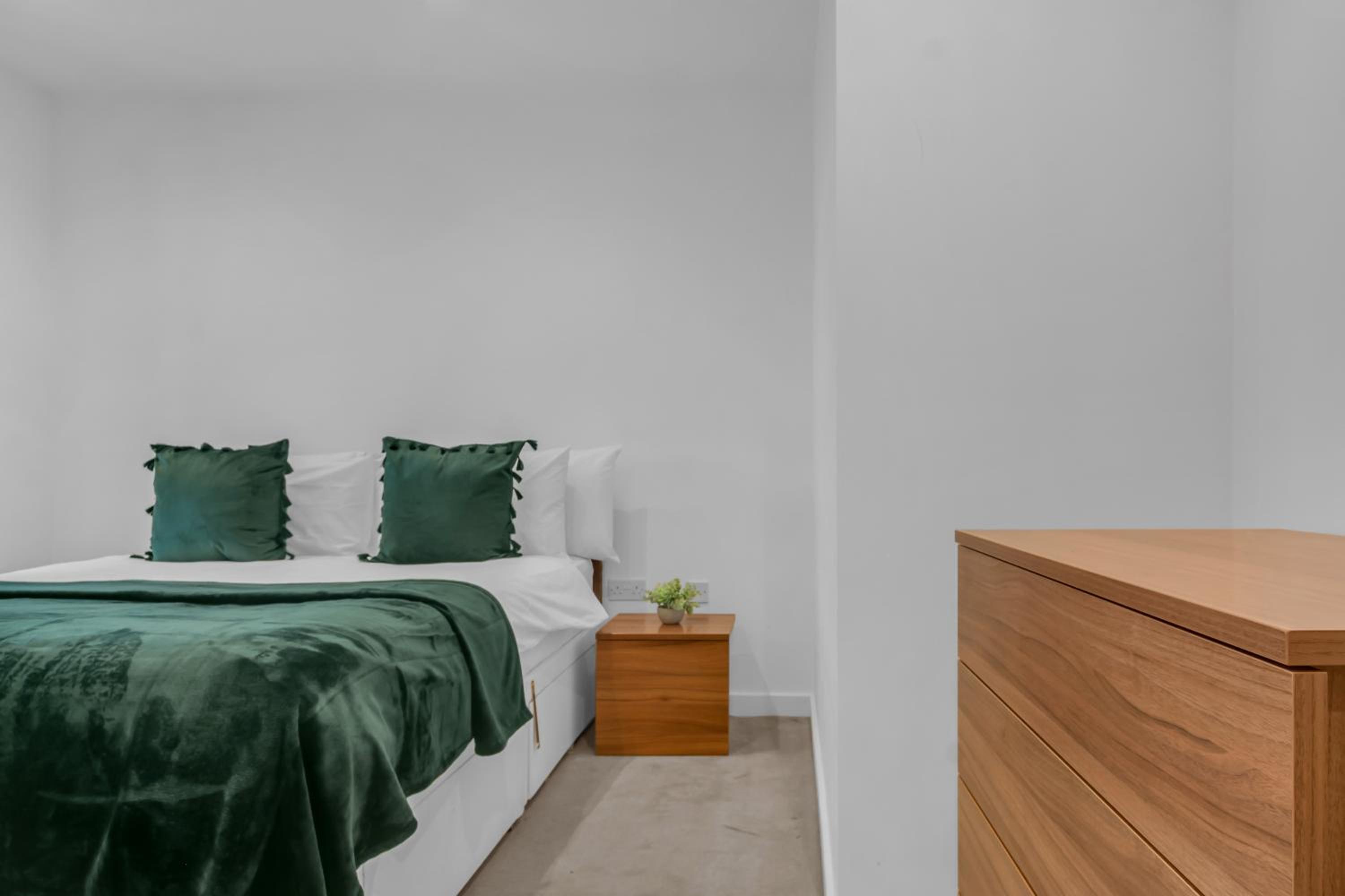 One-Bedroom Apartment photo 3