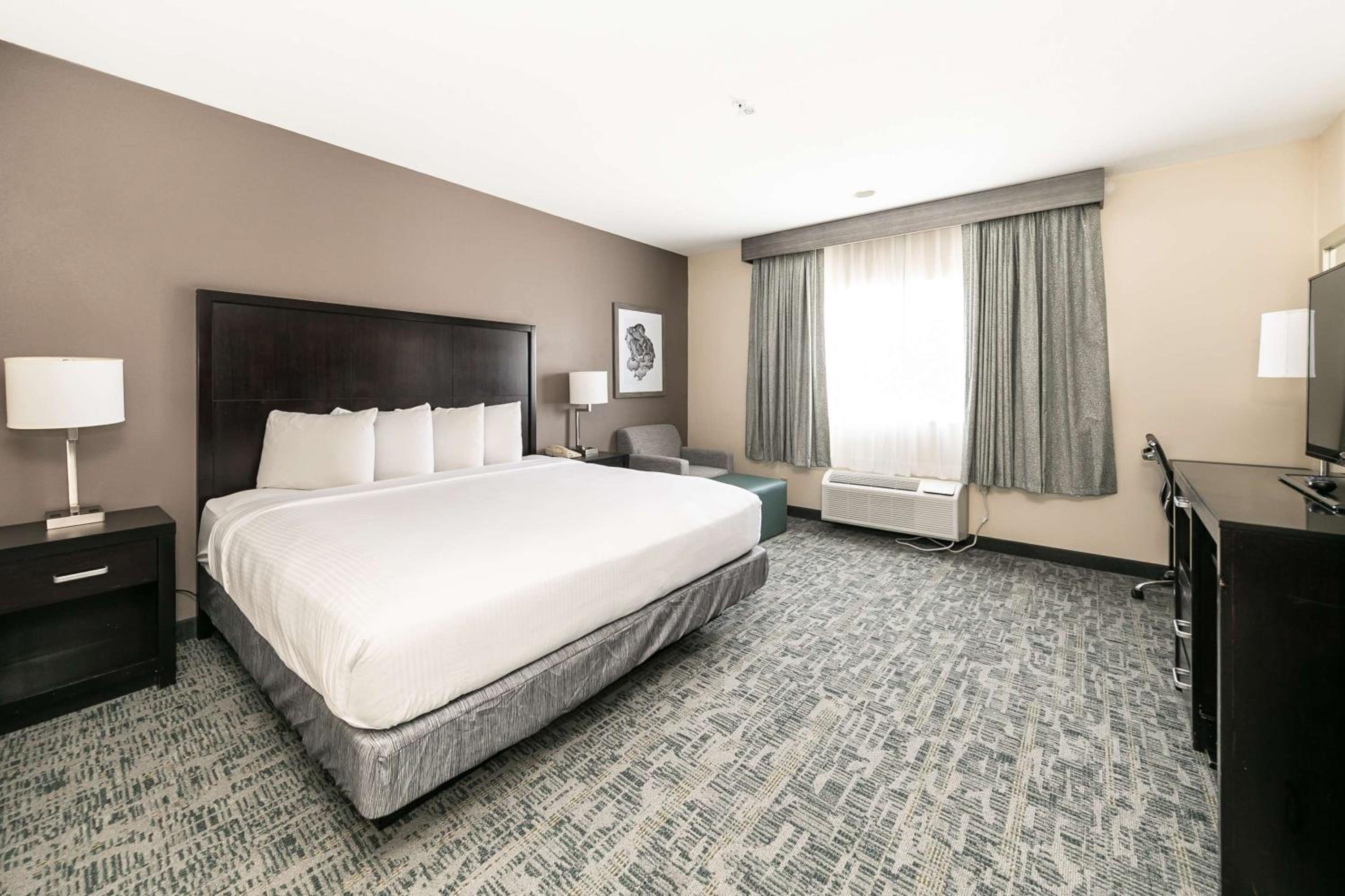 King Room - Non-Smoking - Photo 3
