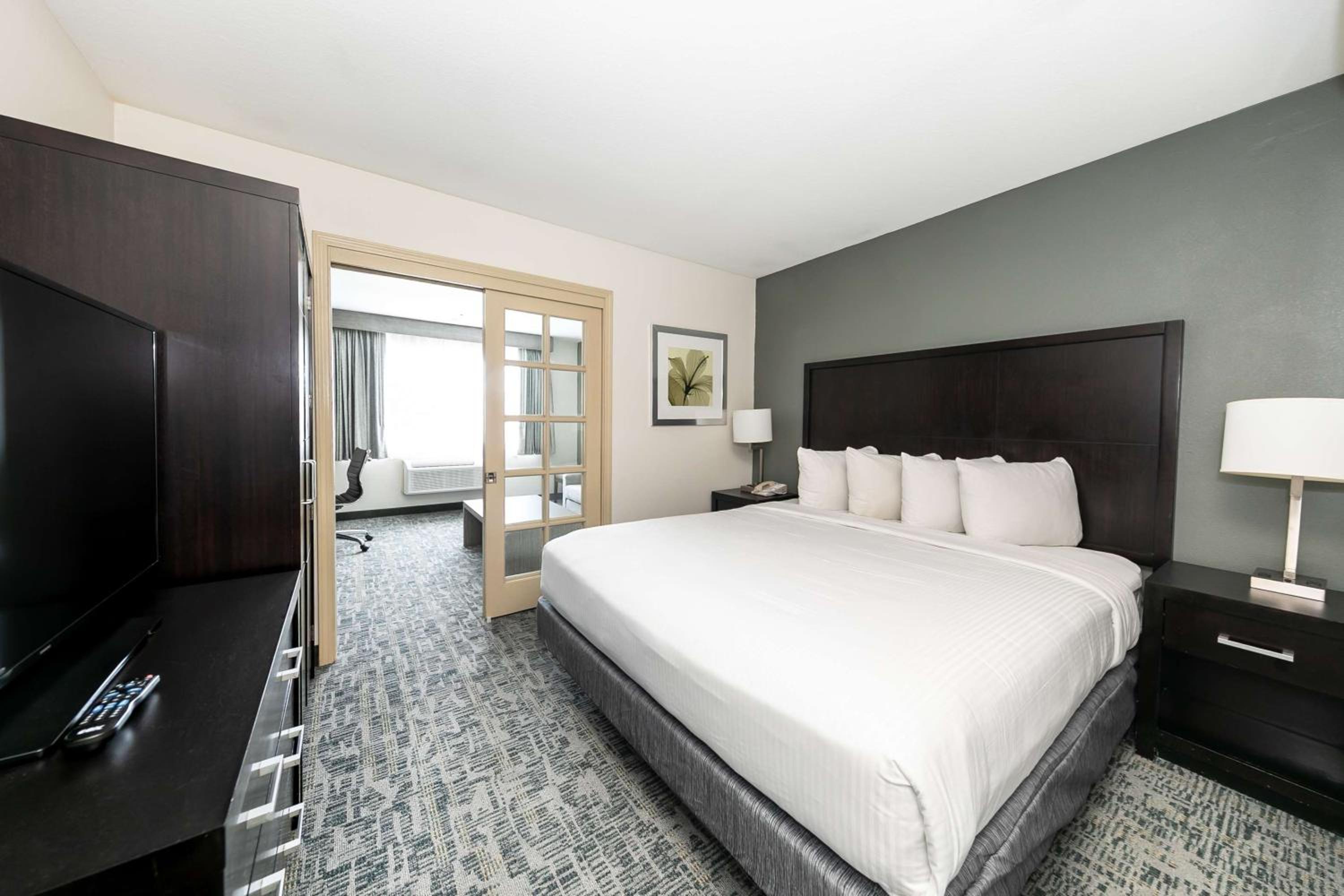 King Suite with Sofa Bed - Non-Smoking - Photo 4