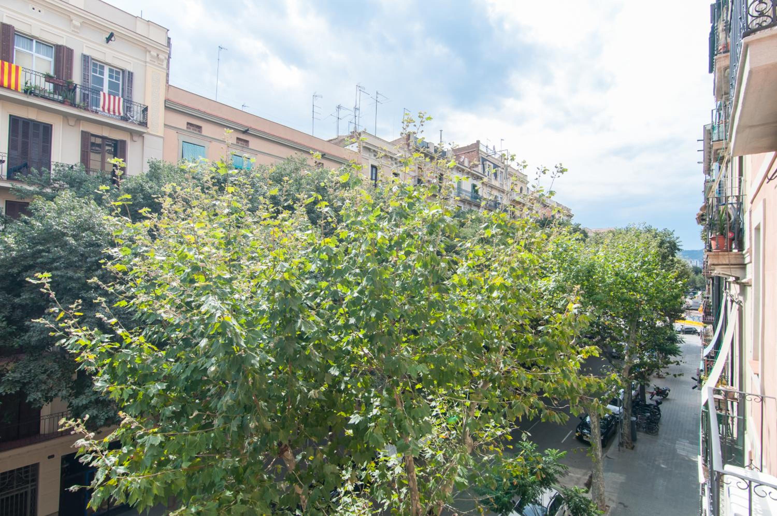 Two-Bedroom Apartment with Terrace photo 3