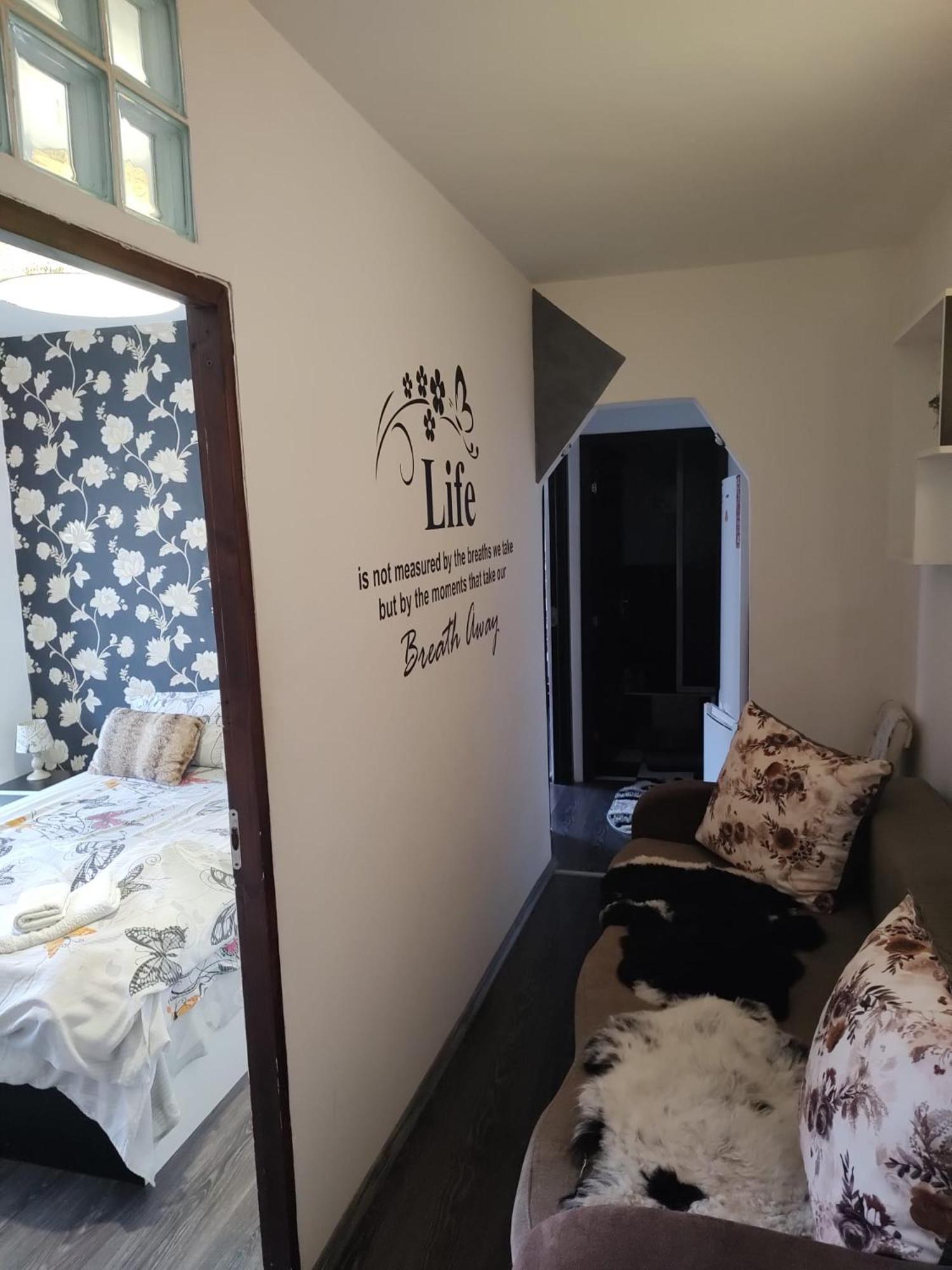 Apartment - Photo 11