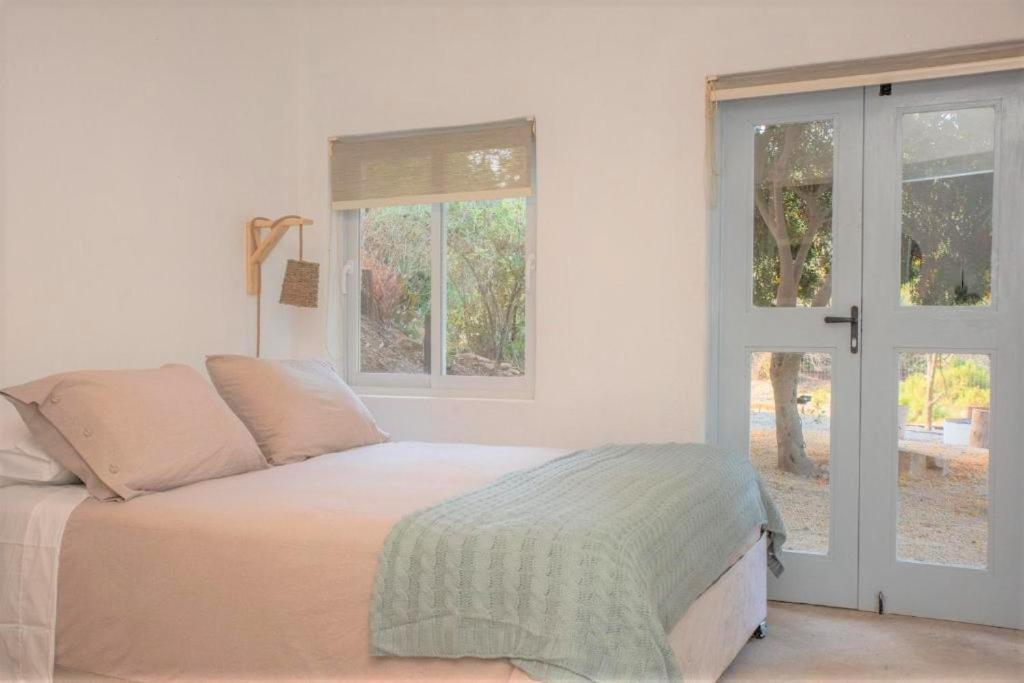 One-Bedroom House photo 3