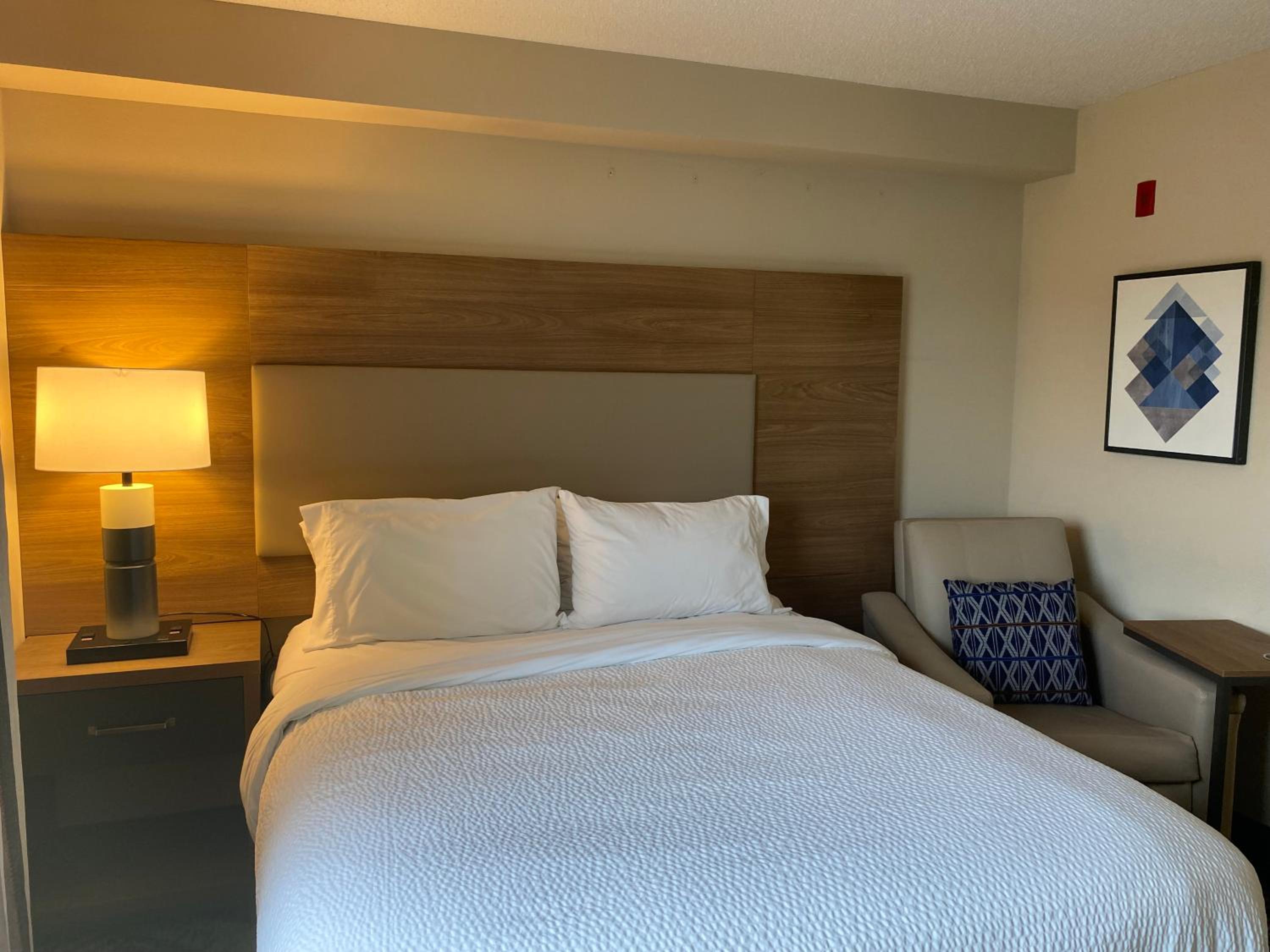 One-Bedroom Suite with Roll-In Shower - Mobility Accessible photo 1