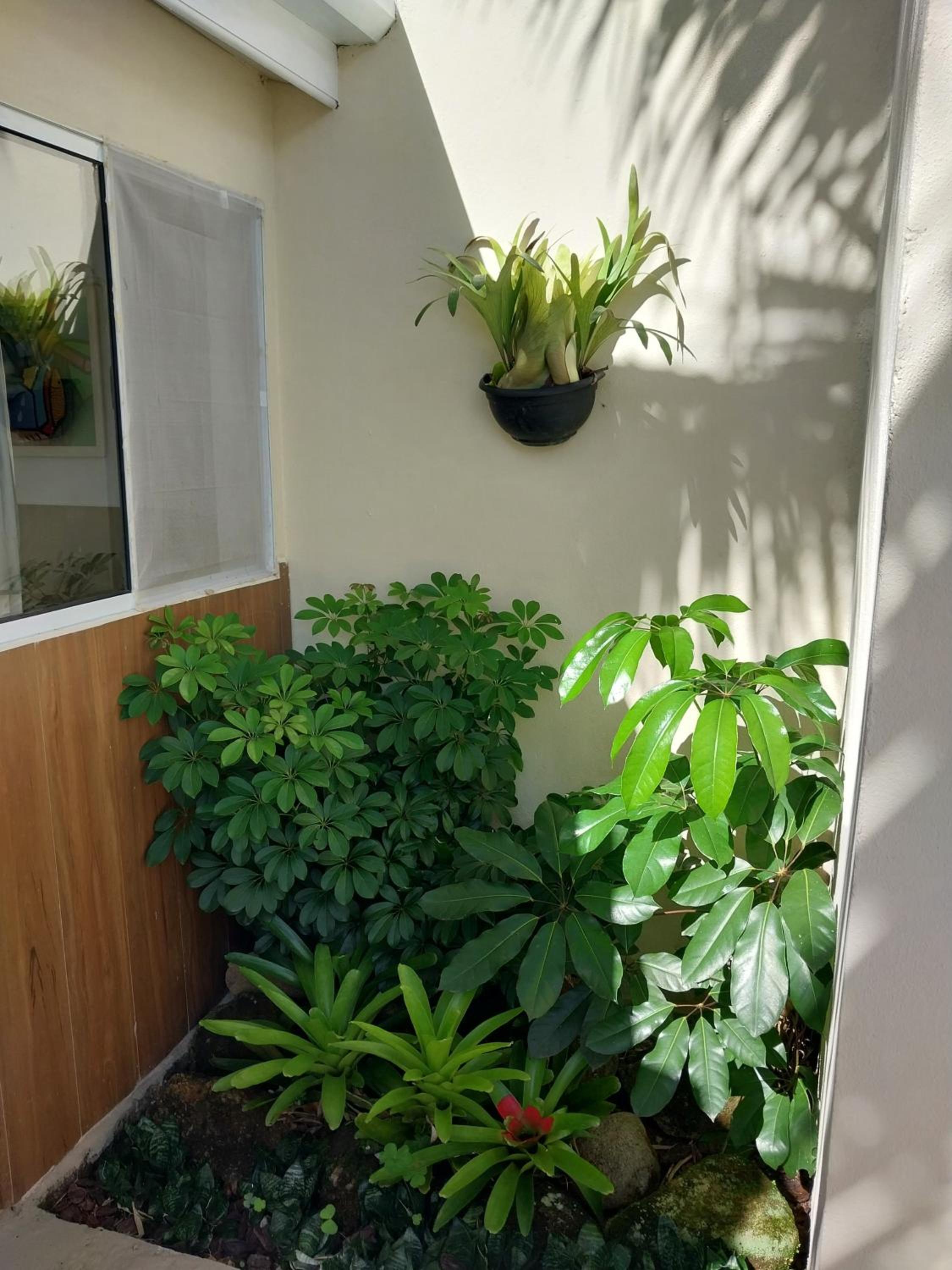 Apartment - Ground Floor - Photo 35