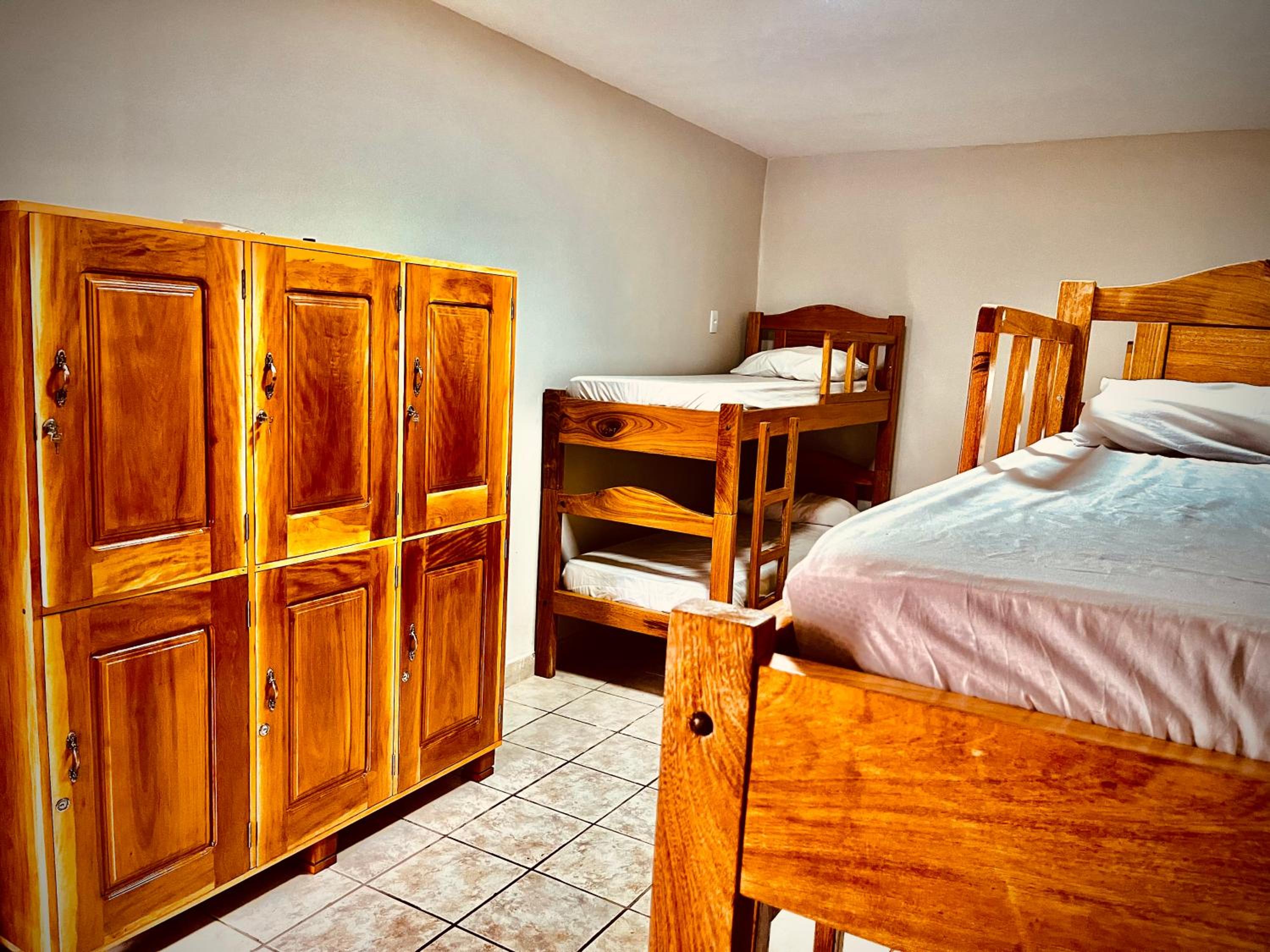 Bunk Bed in Mixed Dormitory Room photo 1