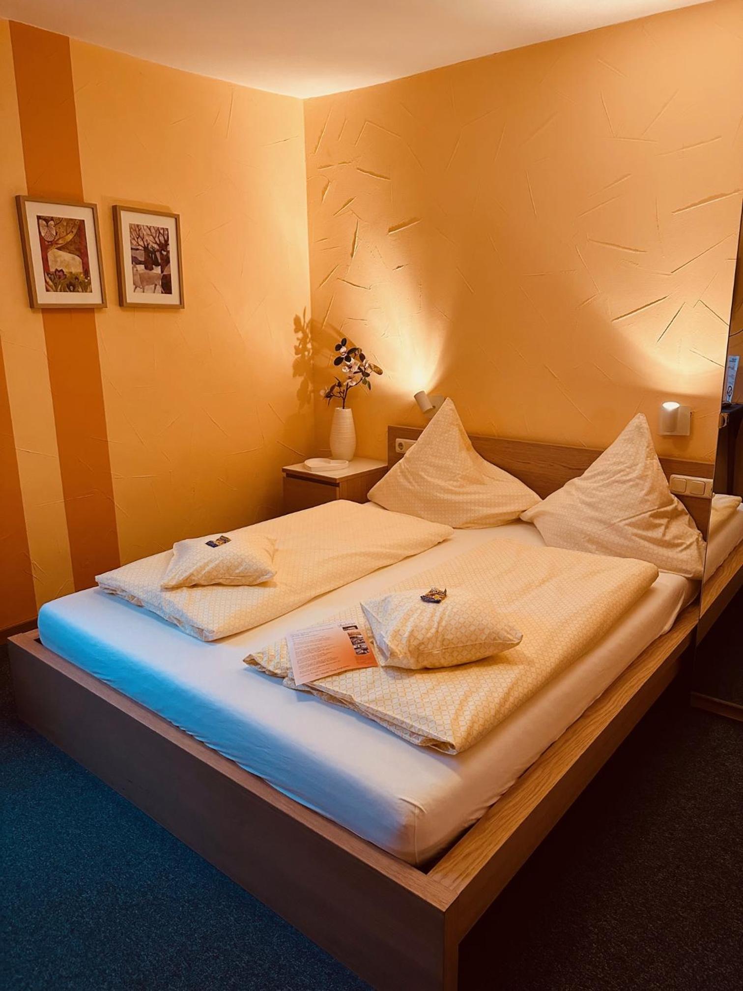 Small Double Room with view of Rhine river - Photo 1