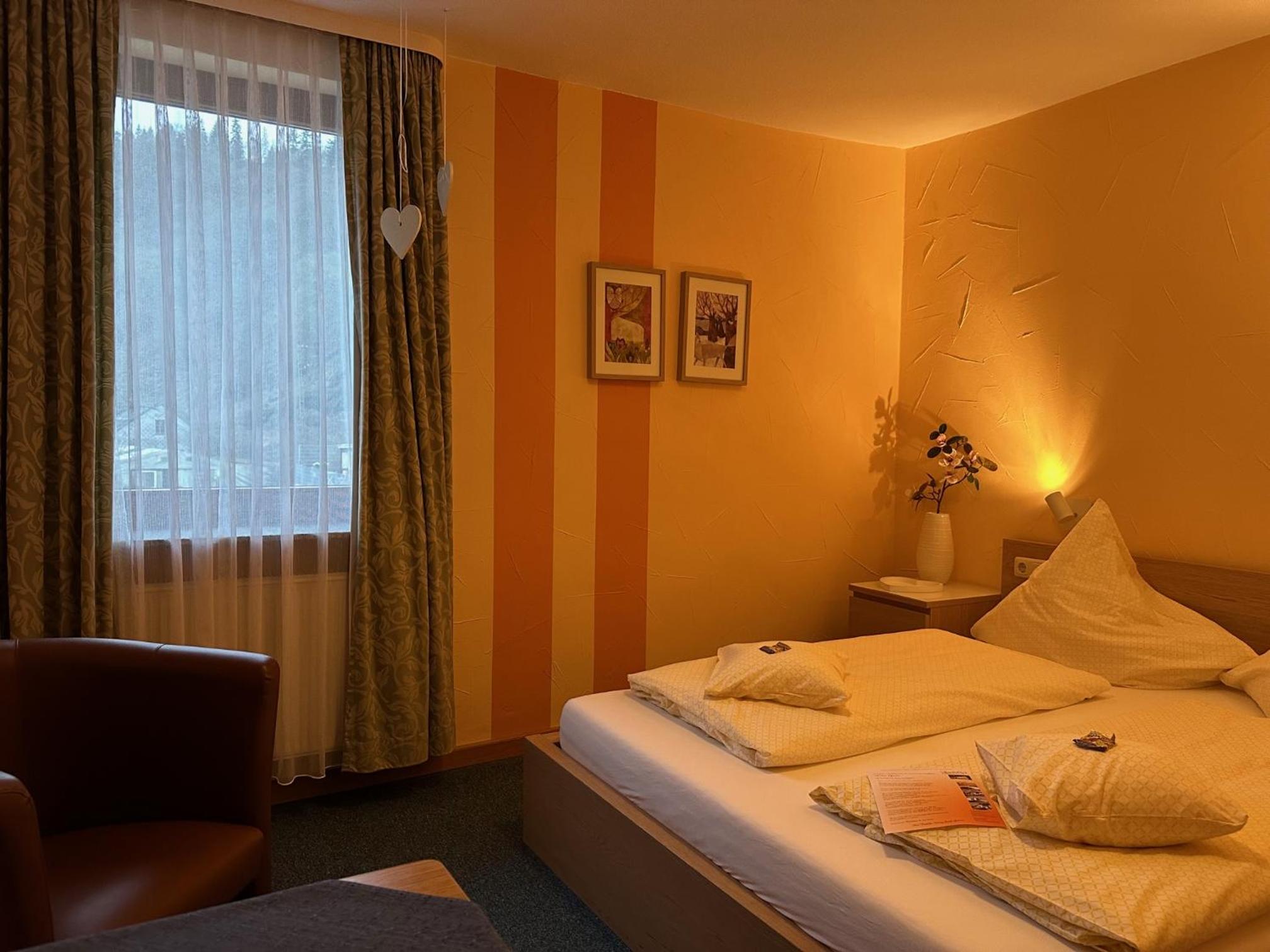 Small Double Room with view of Rhine river - Photo 4