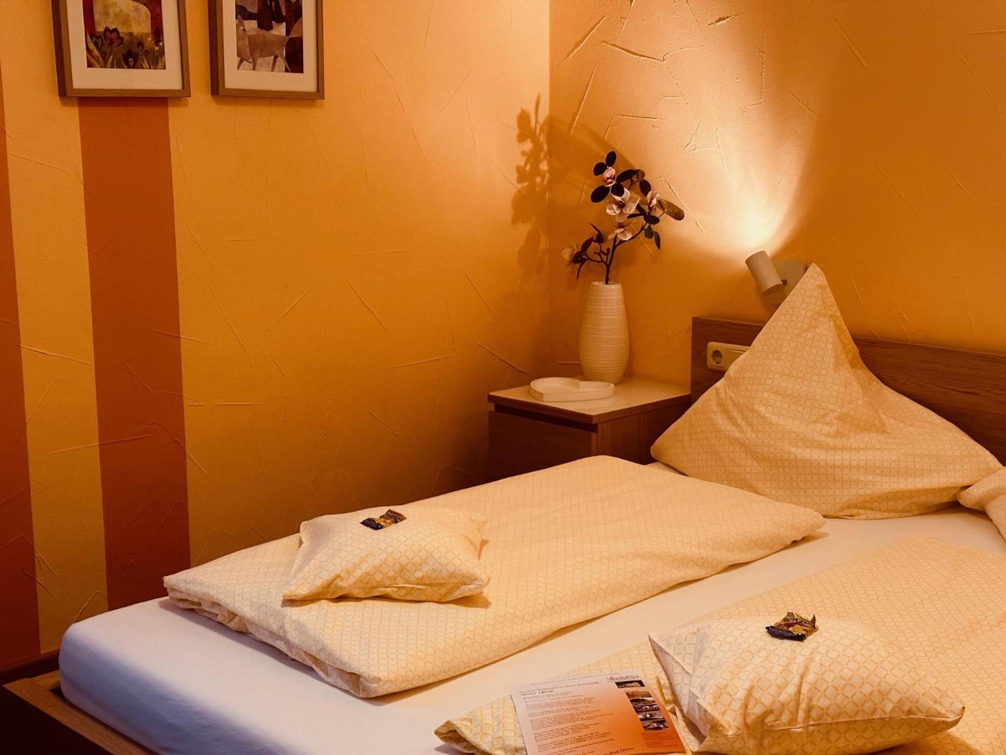 Small Double Room with view of Rhine river - Photo 2