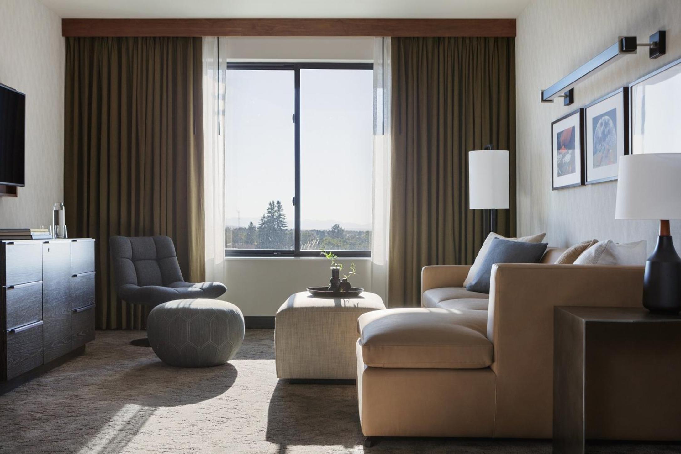 One-Bedroom Suite - Photo 5