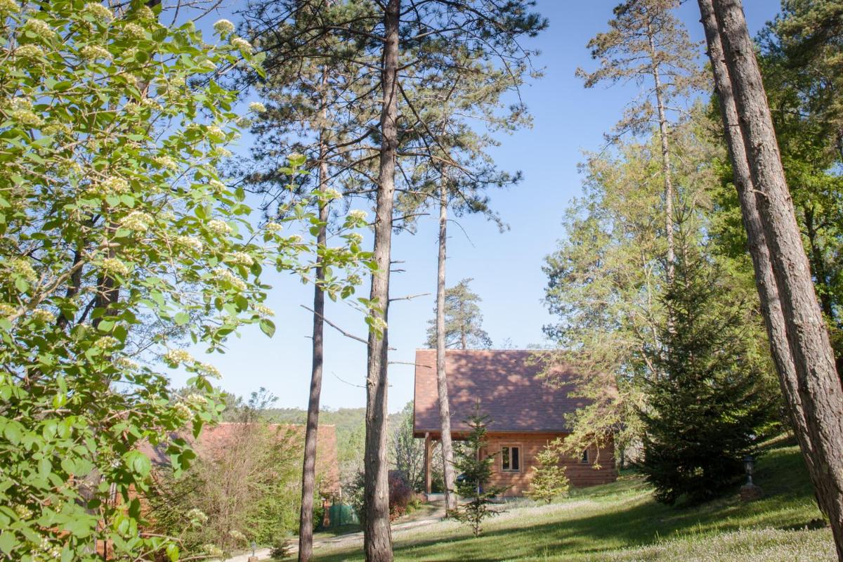 Two-Bedroom Chalet photo 2