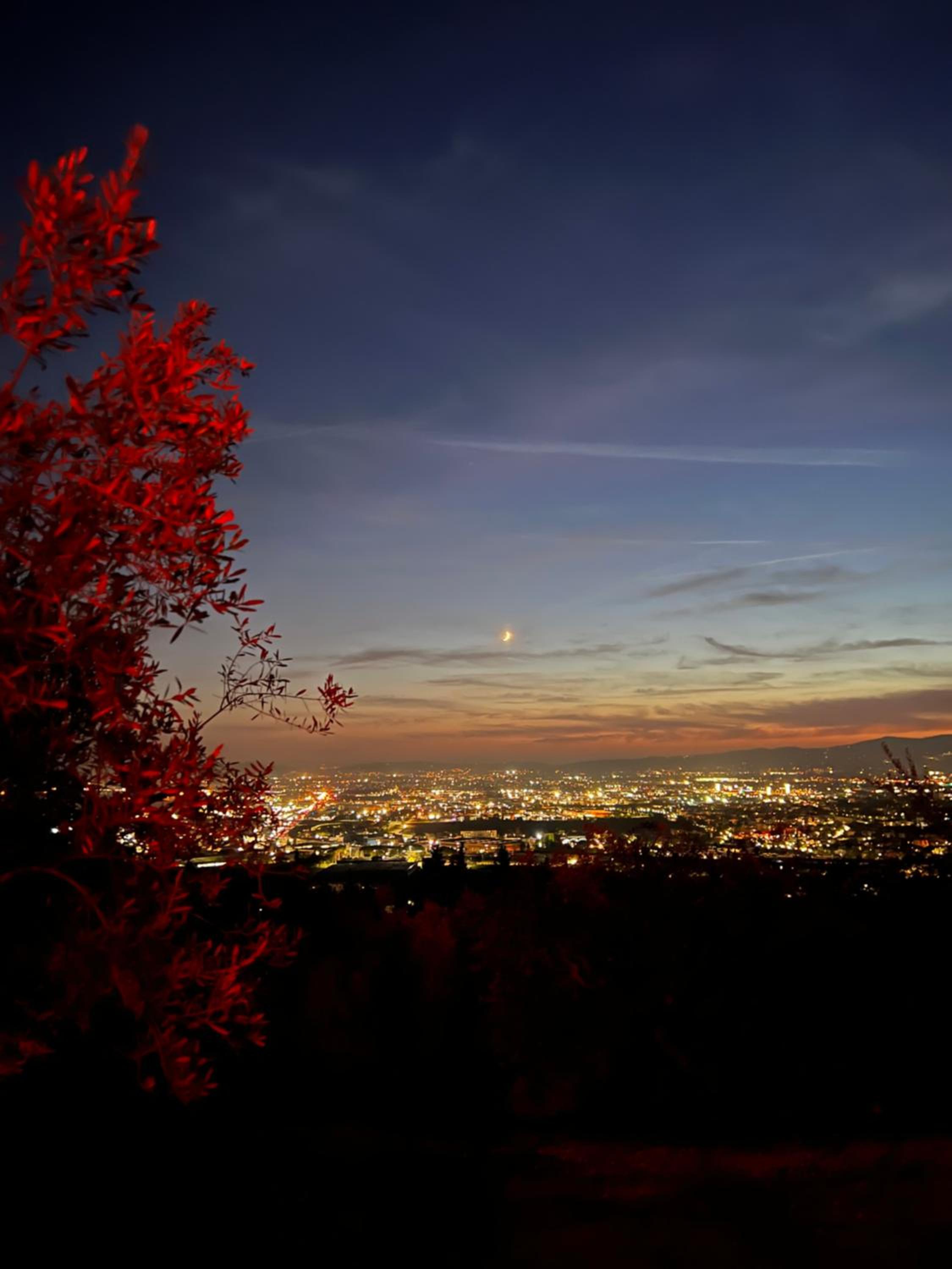 Bungalow with Garden View photo 2