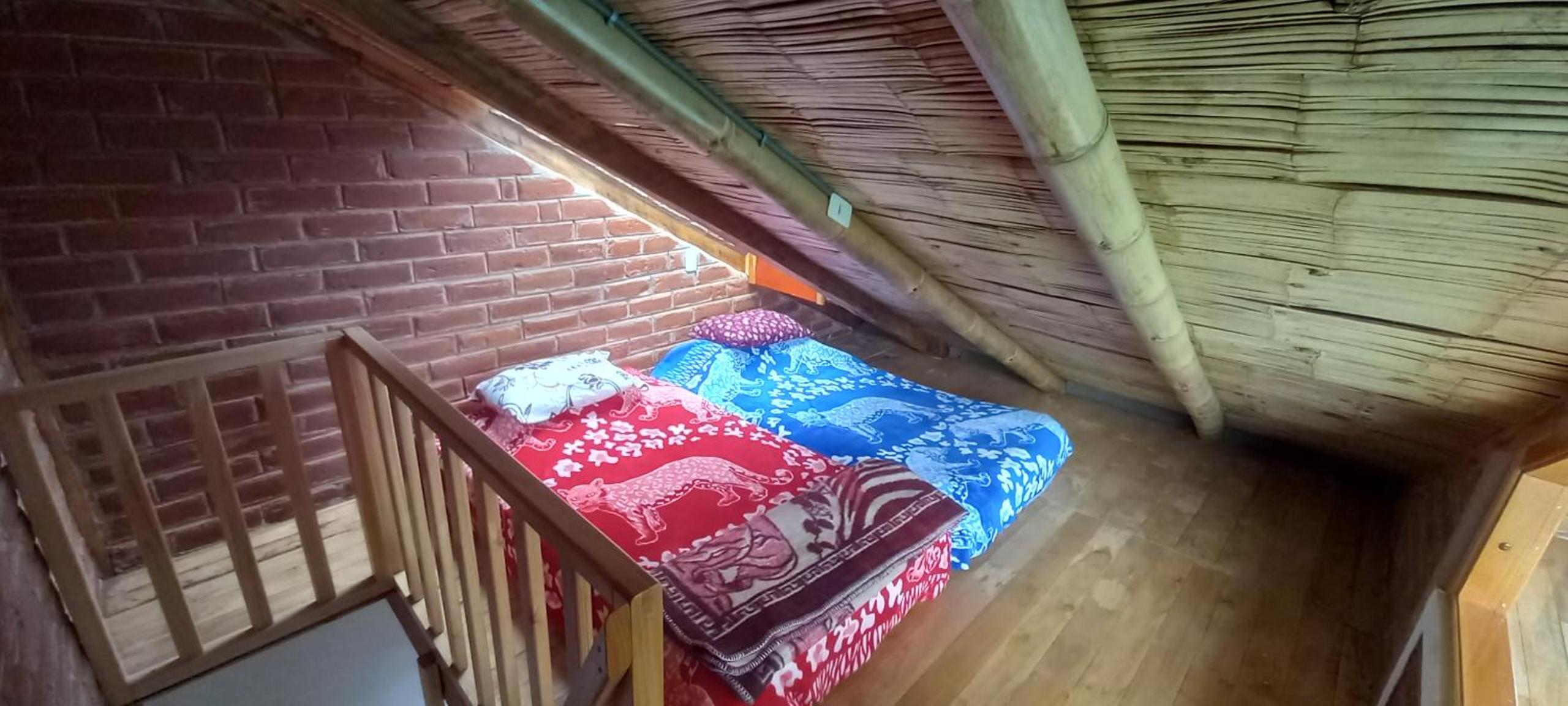 Double Room with Two Double Beds