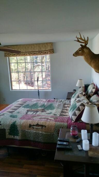 Two-Bedroom House photo 2