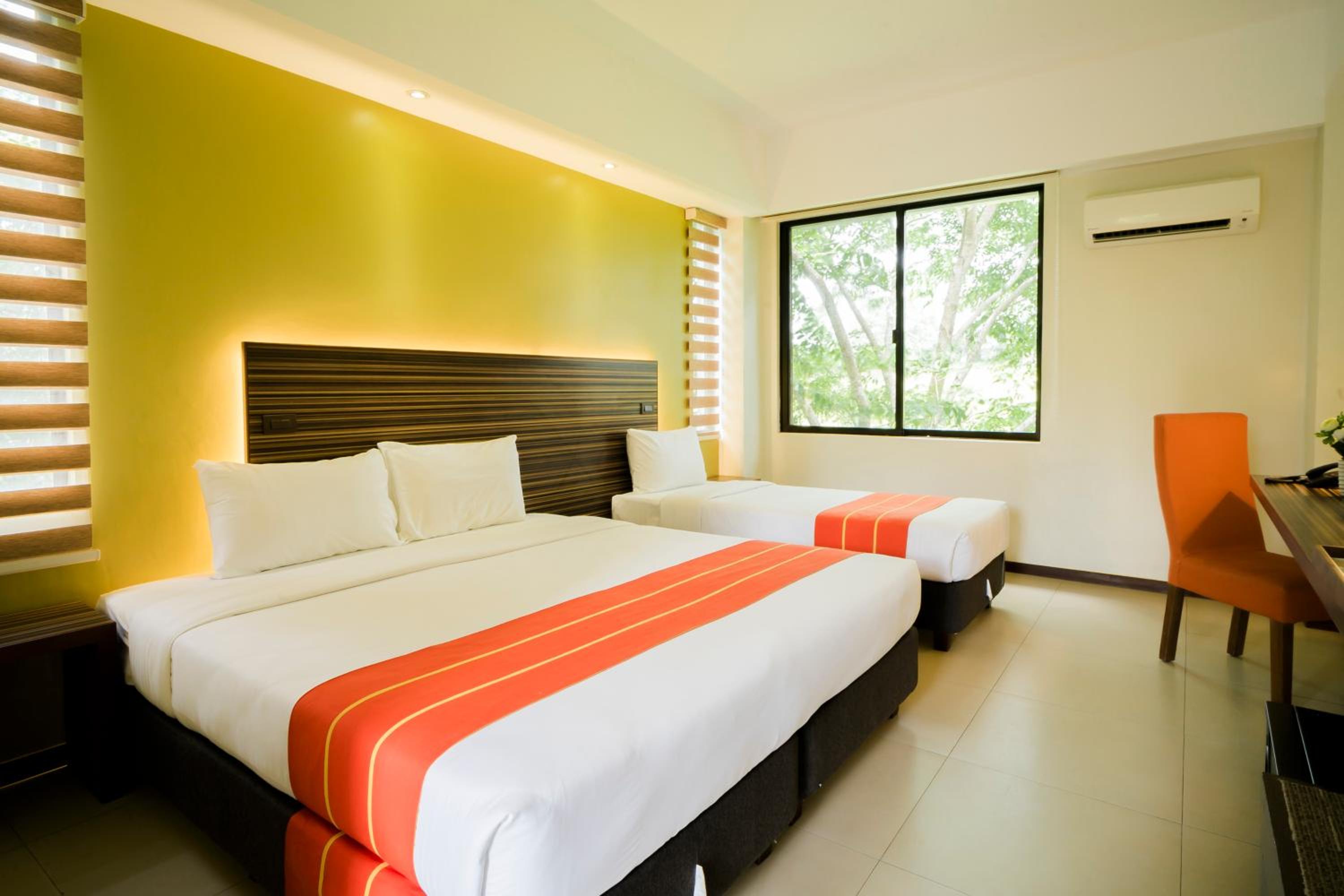 Deluxe Double or Twin Room photo 3