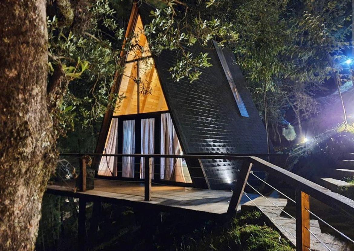 Chalet - Photo 7