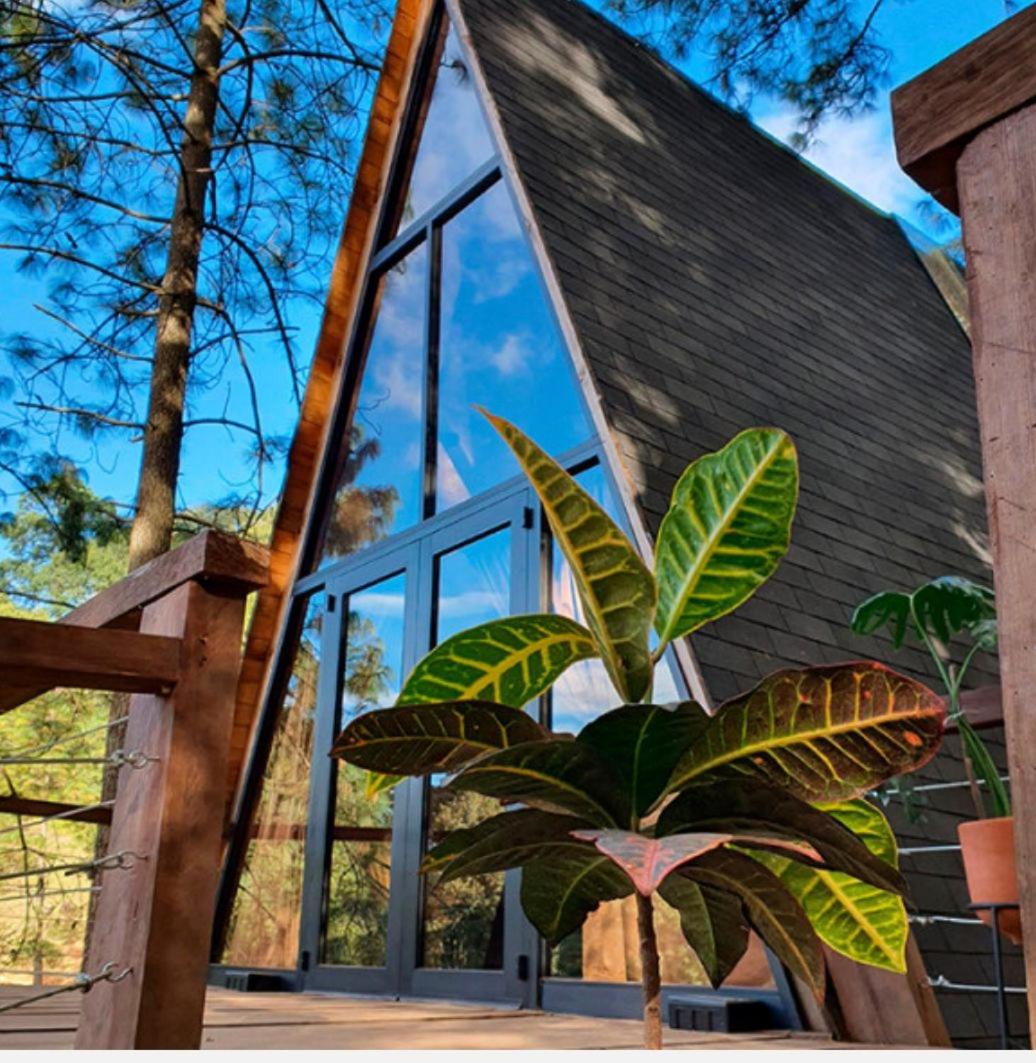 Chalet - Photo 11